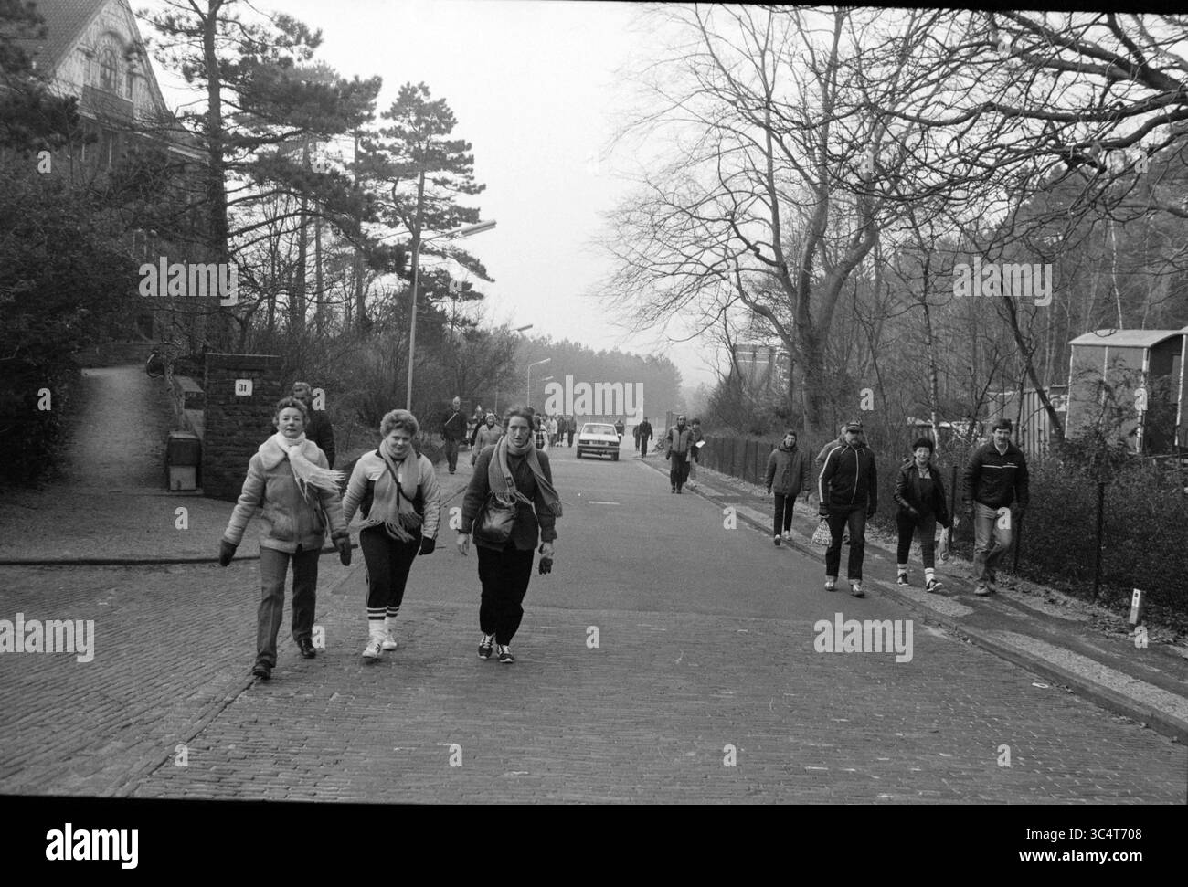 Service de messagerie de marche d'hiver, marche, 19-02-1984 Whizgle News, Dutch Desk, pays-Bas, 1950-2000 Un groupe de personnes se promène dans une rue calme bordée d'arbres, certains marchant ensemble tandis que d'autres marchent seuls. La scène capture un sentiment de communauté et de rythme tranquille dans un cadre naturel. Banque D'Images