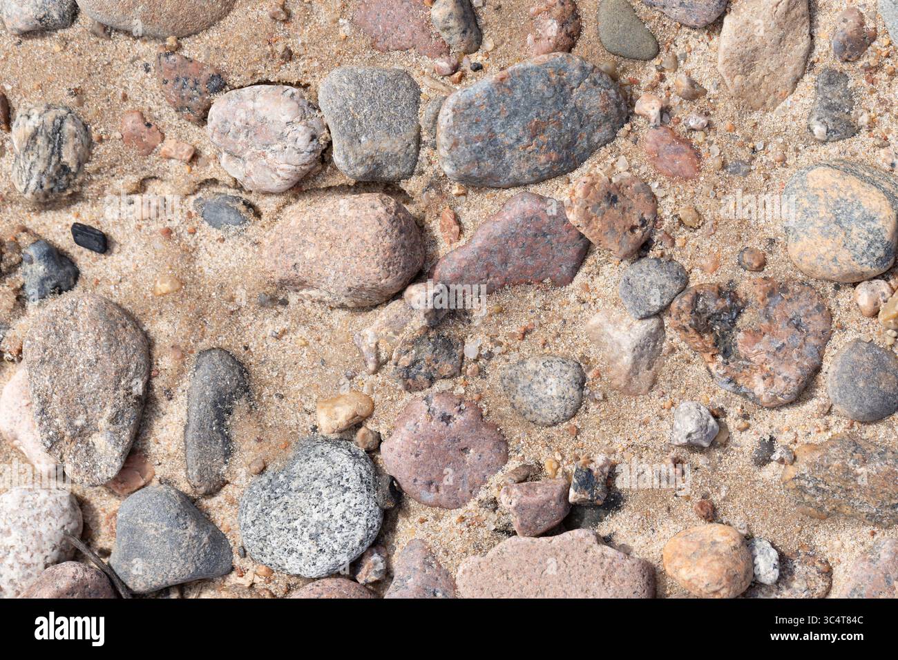 Photographie détaillée de galets arrondis assortis incrustés dans le sable, mettant en valeur des motifs naturels et des couleurs variées telles que le gris, le brun et le rose. Idéal f Banque D'Images