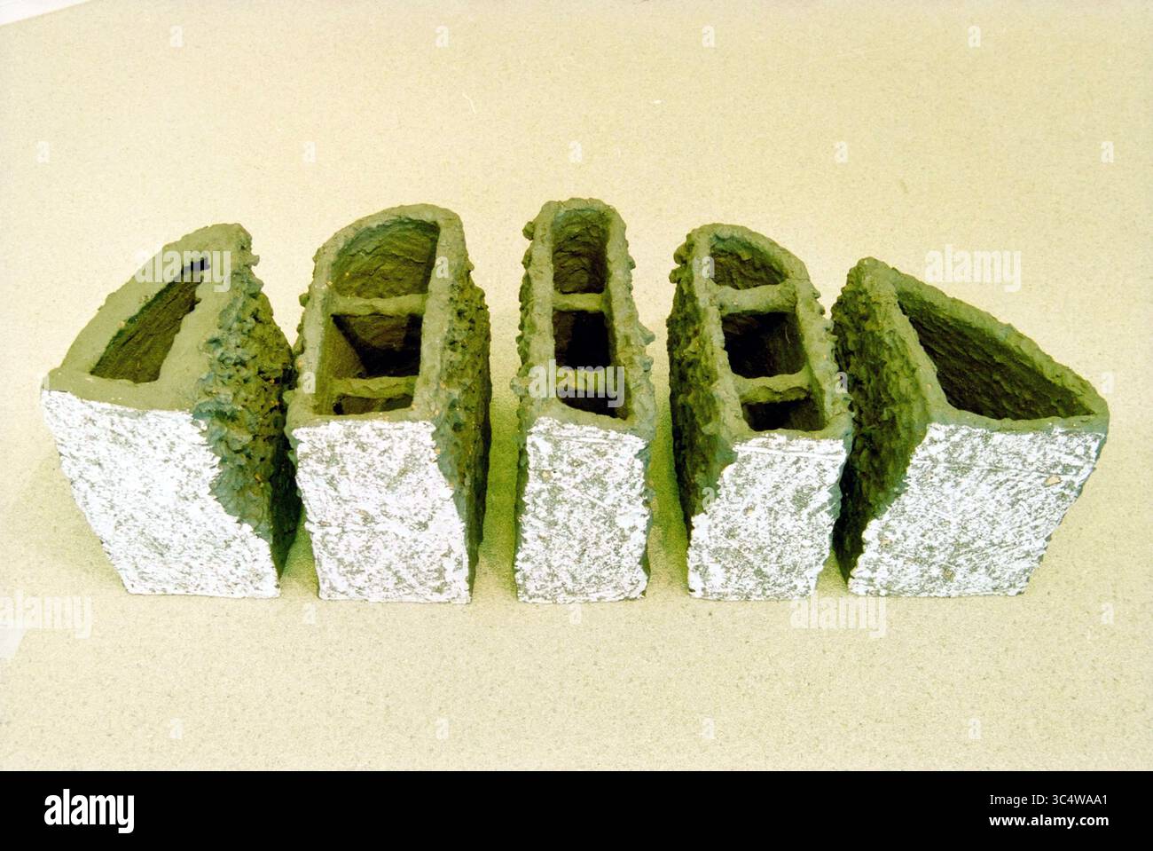 Expo, de Meerse, Karin van Santen H'dorp, Hoofddorp, pays-Bas, 18-01-2000 Whizgle News, Dutch Desk, pays-Bas, 1950-2000 un arrangement abstrait de cinq formes sculpturales, chacune avec des surfaces texturées et des formes variées qui mélangent des éléments organiques et géométriques, mettant en valeur un mélange de finitions rugueuses et lisses. Banque D'Images