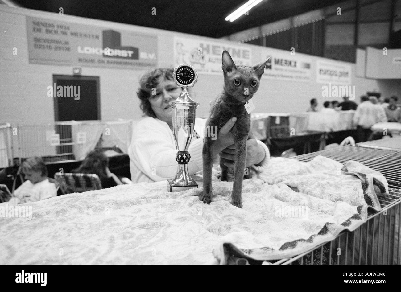 Cat show sport hall Beverwijk, Katten, Beverwijk, pays-Bas, 07-05-1989 Whizgle News, Dutch Desk, pays-Bas, 1950-2000 Un fier propriétaire tient un trophée à côté d'un chat élégant et élégant, mettant en valeur ses réalisations lors d'un salon de chat. Derrière eux, d’autres exposants et leurs chats peuvent être vus, contribuant à l’ambiance animée de la compétition. Banque D'Images