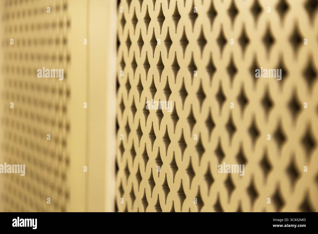 Portes de garde-robe avec barres en bois à motif oriental Banque D'Images