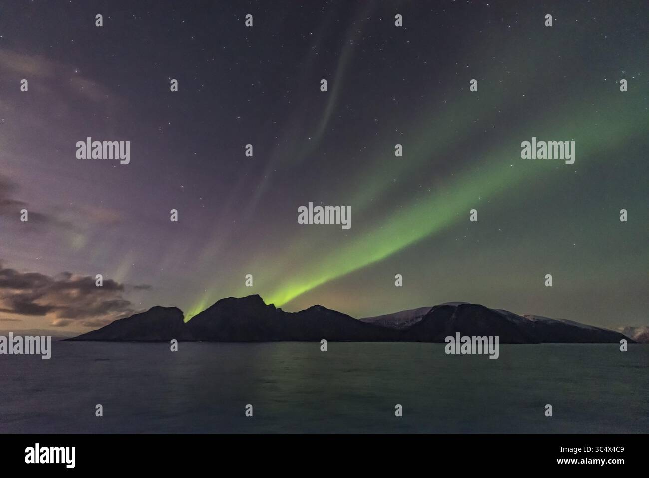 7 novembre 2017 - Une aurore sombre mais photogénique le 7 novembre, de la côte de la Norvège sur le navire Hurtigruten Nordlys, dans une vue vers le sud vers Pegasus et Andromeda, et au-dessus des îles au large. La lune décroissante montante hors cadre à gauche illumine le ciel et le paysage. ..il s'agit d'une exposition unique de 1 seconde avec l'objectif Sigma 14mm Art à f/1,8 et Nikon D750 à ISO 6400. (Crédit image : © Alan Dyer / Vwpics/VW pics via ZUMA Wire) Banque D'Images