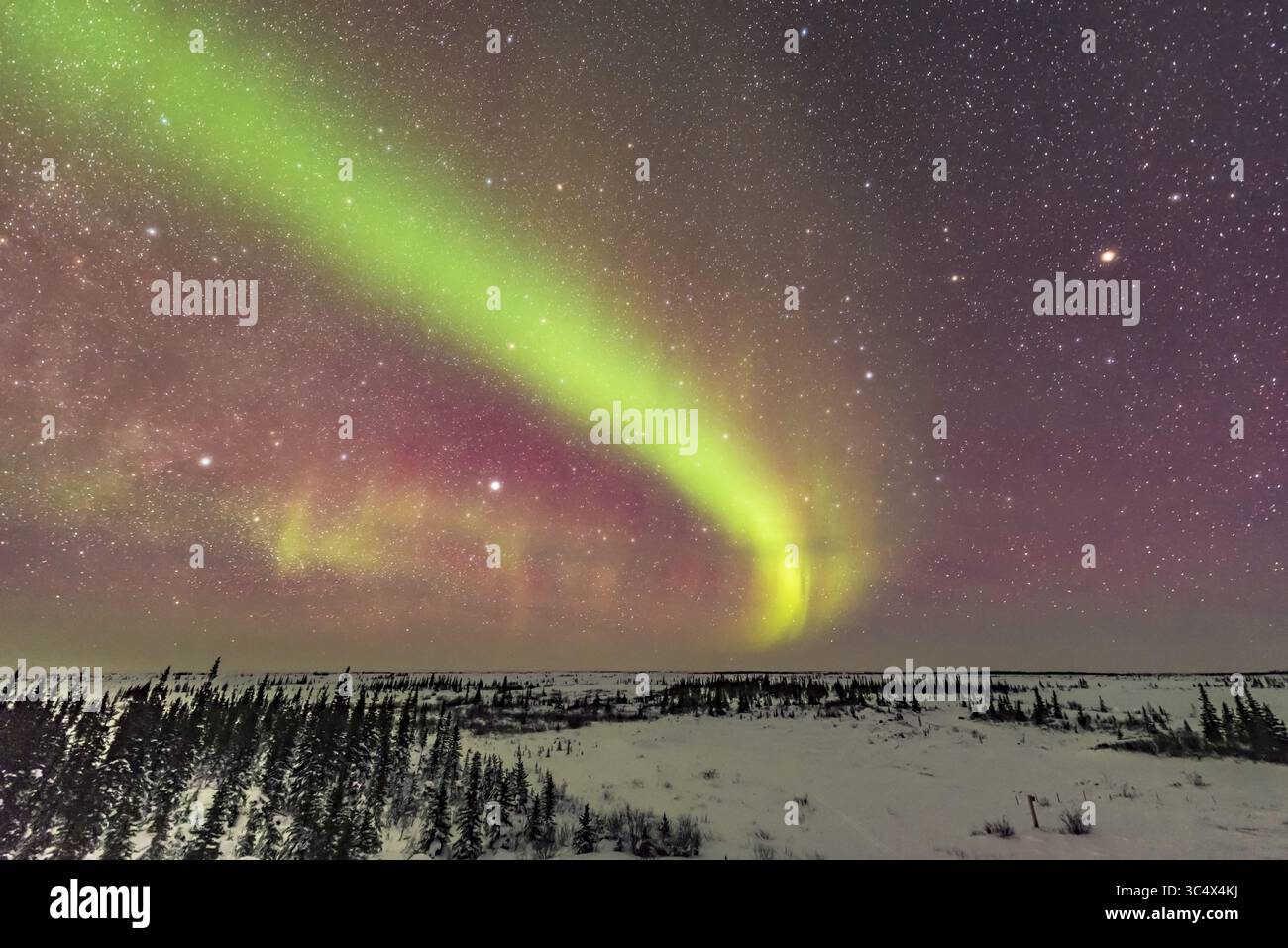 14 février 2018 - Alberta, Canada - Un arc auroral sombre dans la nuit du 14/15 février de Churchill Manitoba, avec trois étoiles brillantes bien positionnées : de gauche à droite â€“ Deneb, Vega et Arcturus, étoiles clés de la navigation céleste inuite lorsqu’elles sont basses dans le ciel nord les nuits d’hiver. Arcturus est Sivulliik â€” l’avant, tandis que Vega est Kingulliq â€” l’arrière. ..légère brume accentue les étoiles naturellement ici, en une seule exposition avec l'objectif Sigma 14mm à f/1,8. (Crédit image : © Alan Dyer / Vwpics/VW pics via ZUMA Wire) Banque D'Images