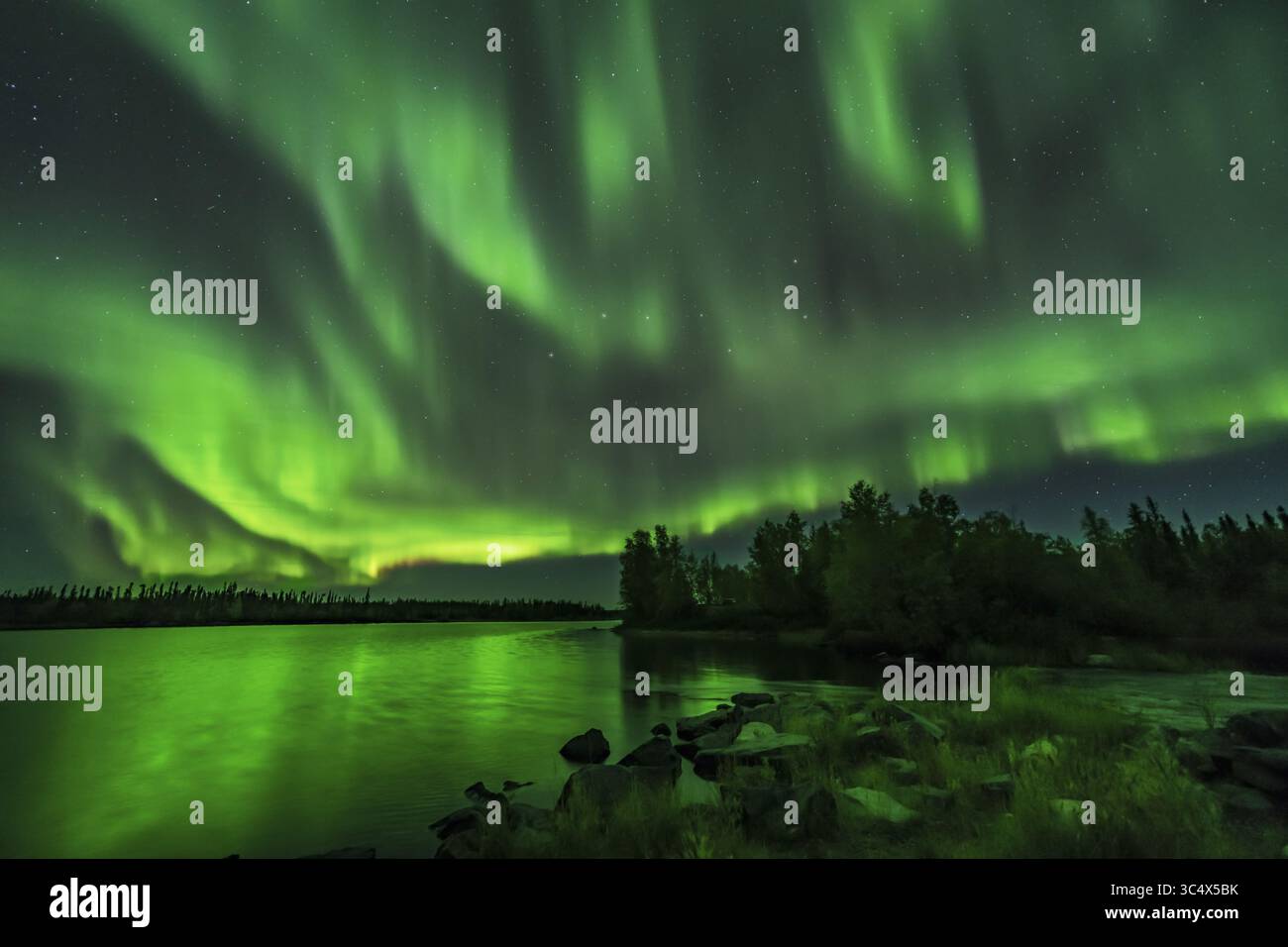 Le 9 septembre 2018 - Alberta, Canada - Une aurore brillante remplissant le ciel au lac Tibbitt sur le sentier Ingraham à l'est de Yellowknife, T.N.-O., avec l'aurore éclairant le sol vert. C'était les 8 et 9 septembre 2018. ..le Big Dipper est au centre. ..cela fait 2,5 secondes à f/2 avec l'objectif venus Optics 15mm et Sony a7IIII à 3200 ISO. (Crédit image : © Alan Dyer / Vwpics/VW pics via ZUMA Wire) Banque D'Images