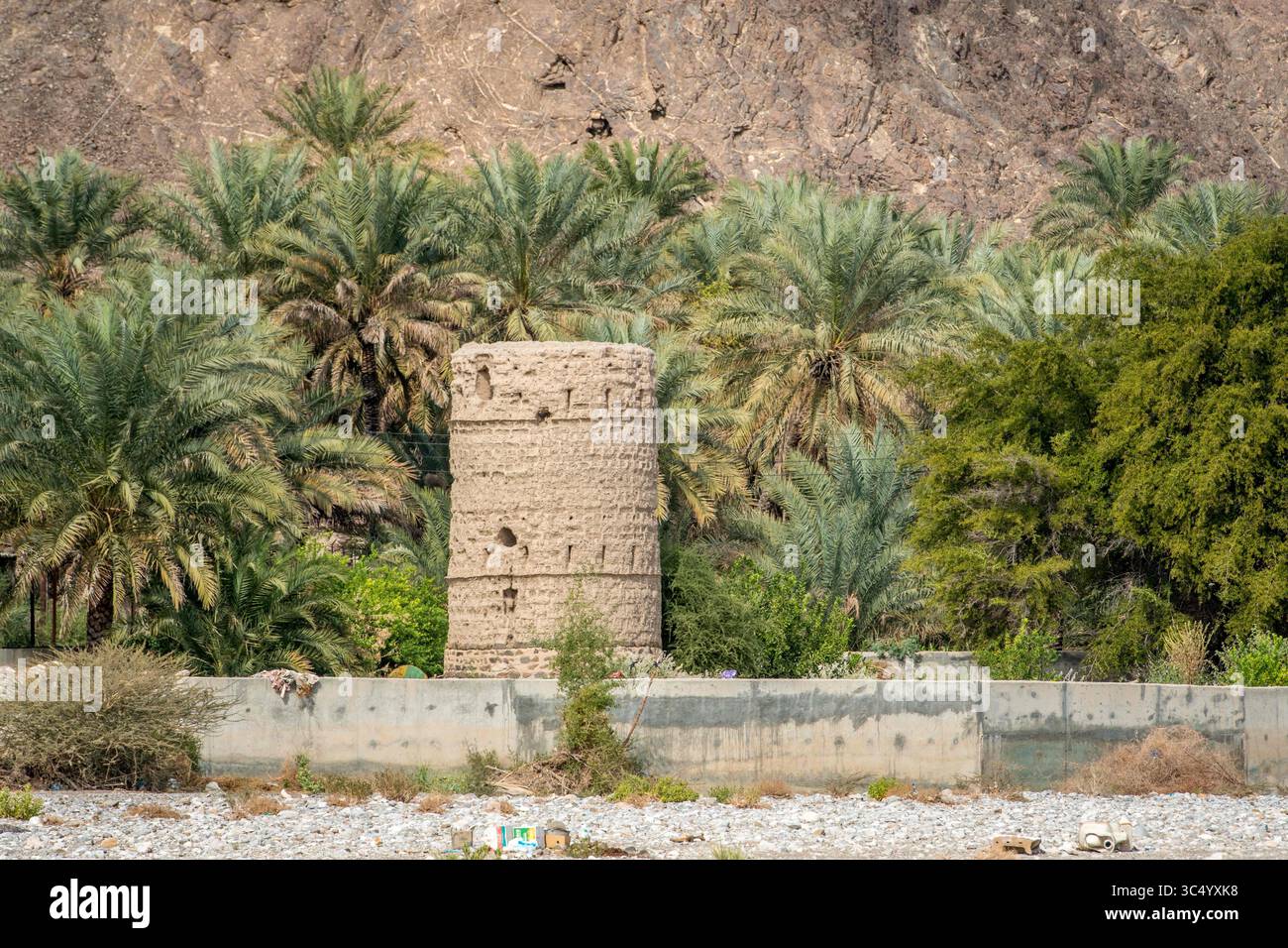 22 janvier 2017 - Oman - ancienne tour en pierre avec palmiers dattiers à Birkat Al Mouz à Oman (crédit image : © Edwin Remsberg/VW pics via ZUMA Wire) Banque D'Images