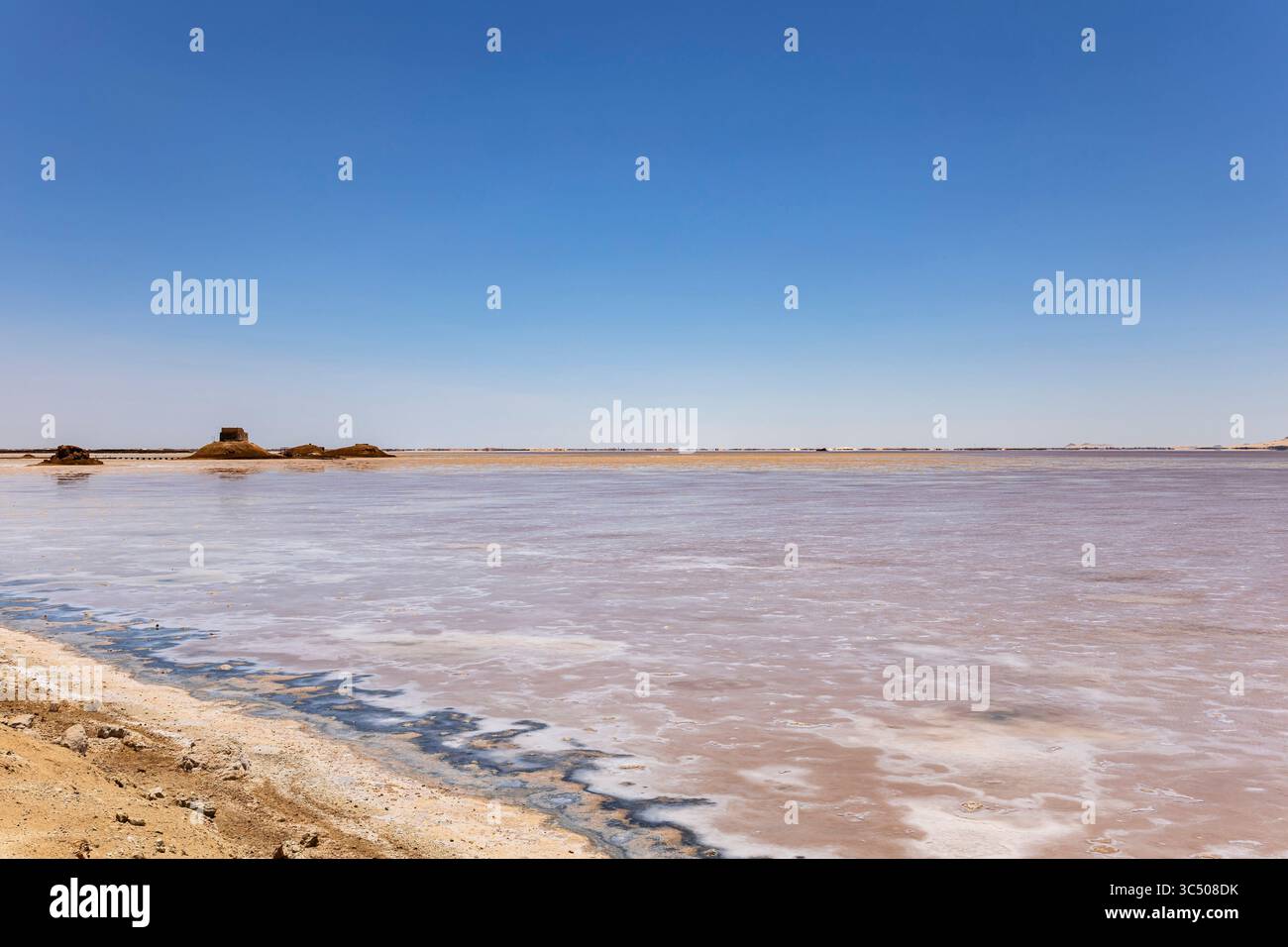 Lac salé de Siwa, oasis de Siwa, Siwa, gouvernorat de Marsa Matrouh, Égypte, Afrique du Nord, Afrique Banque D'Images