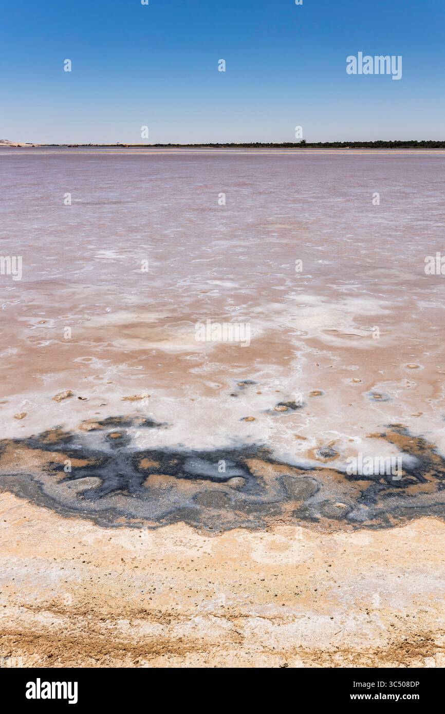 Lac salé de Siwa, oasis de Siwa, Siwa, gouvernorat de Marsa Matrouh, Égypte, Afrique du Nord, Afrique Banque D'Images