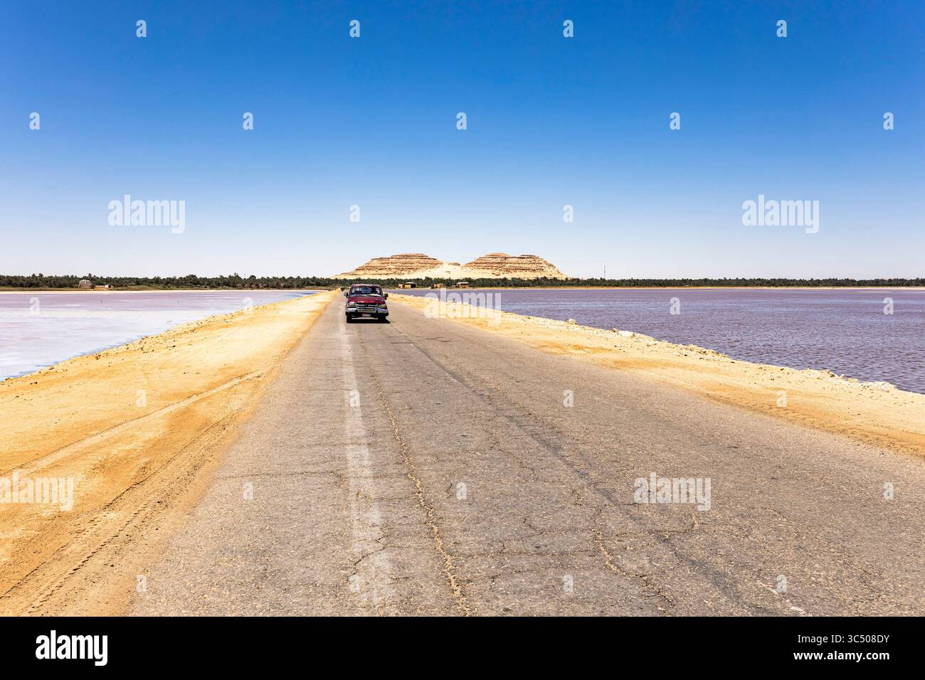 Lac salé de Siwa, oasis de Siwa, lac traversant la chaussée, Siwa, gouvernorat de Marsa Matrouh, Egypte, Afrique du Nord, Afrique Banque D'Images