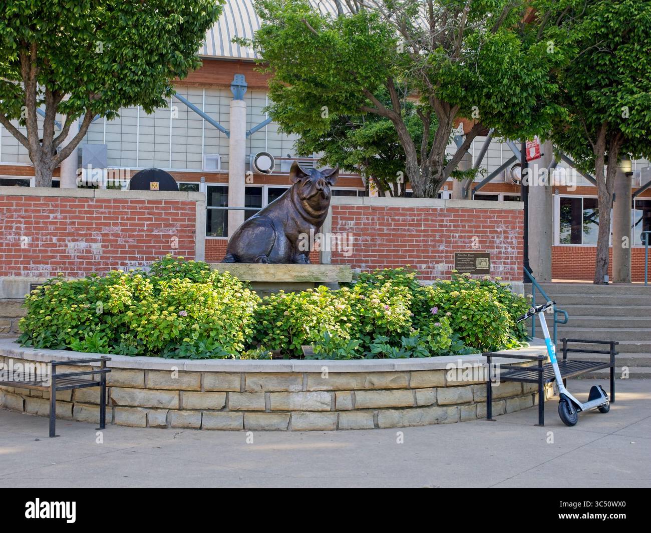 Sculpture de cochon de River Market au marché fermier dans le quartier de divertissement du centre-ville de Little Rock — Arkansas, États-Unis, mai 2025 Banque D'Images