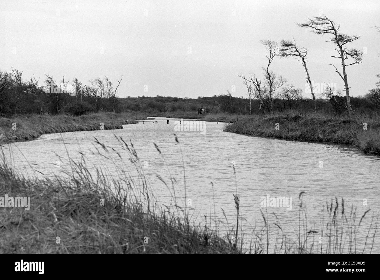 Excursion de la compagnie Haarlem Water à une zone d'extraction d'eau dans les dunes, 05-07-1979 Whizgle News, Dutch Desk, pays-Bas, 1950-2000 Une rivière tranquille serpente à travers un paysage herbeux, flanqué d'arbres clairsemés se balançant doucement dans la brise. Au loin, un petit pont vole au-dessus de l'eau, invitant à l'exploration des environs sereins. Banque D'Images