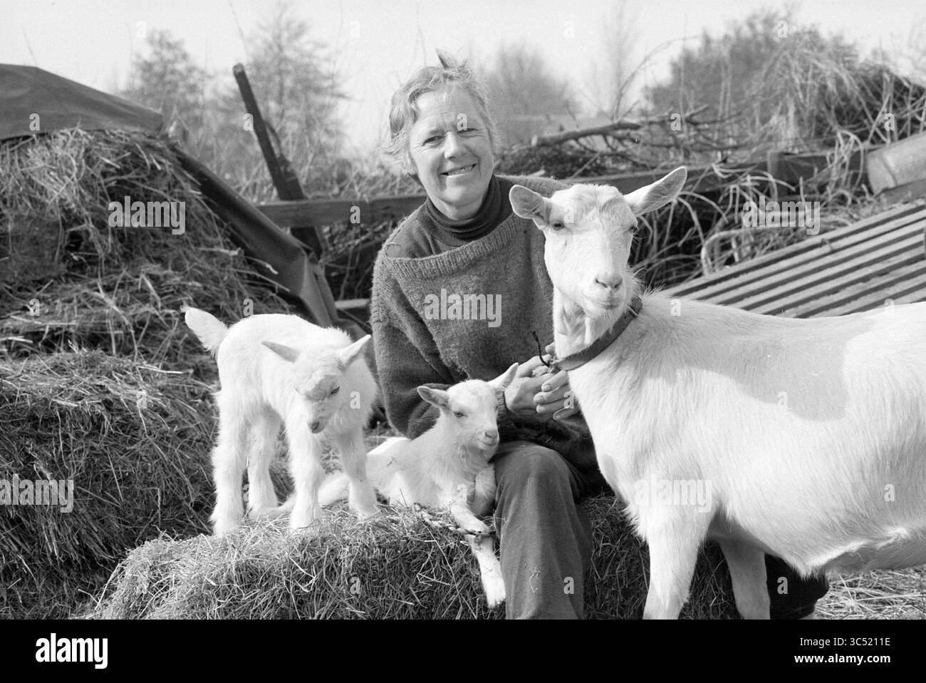 Goat Breeder de Jong, lisse, 26-02-1992 Whizgle News, Dutch Desk, pays-Bas, 1950-2000 Une femme souriante est assise parmi le foin, berçant un bébé chèvre tandis que deux autres enfants ludiques s'appuient contre elle. Le cadre serein de la ferme est illuminé par une douce lumière naturelle, soulignant le lien entre la femme et les chèvres. Banque D'Images