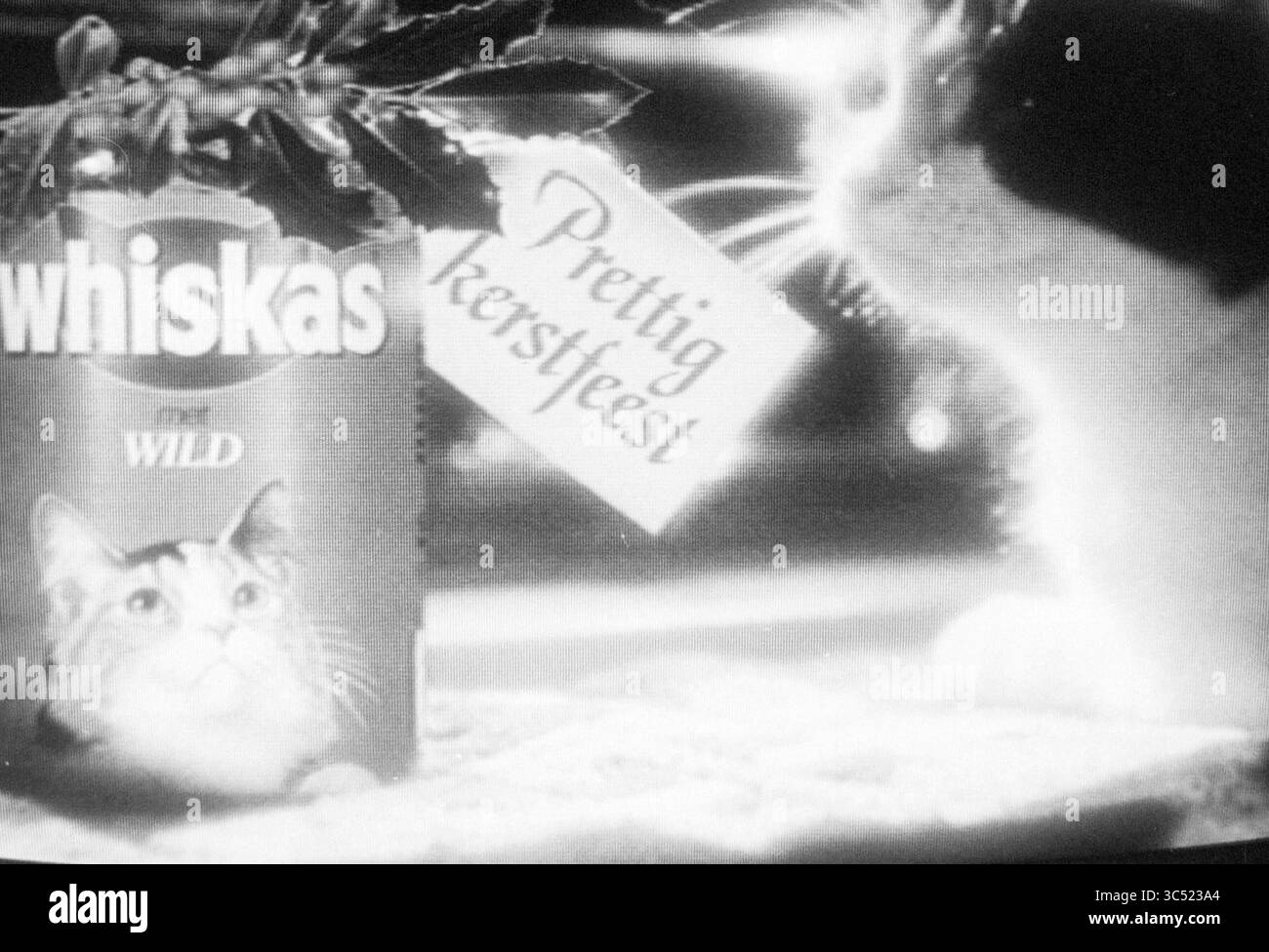 Diverses publicités télévisées, télévision, 27-12-1989 Whizgle News, Dutch Desk, pays-Bas, 1950-2000 Une scène de vacances fantaisiste avec une boîte de nourriture pour chats Whiskas ornée de verdure festive, accompagnée d'une étiquette portant la mention « prettig kerstfeest ». Un chat curieux est à proximité, ajoutant au charme de l'ambiance festive. Banque D'Images