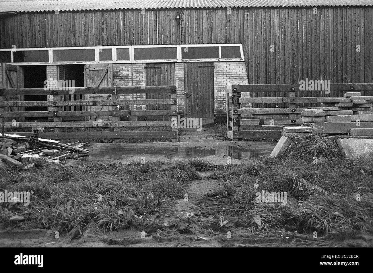 Extérieur d'une écurie de chevaux Whizgle News, Dutch Desk, pays-Bas, 1950-2000 Une grange rustique avec des poutres en bois et de grandes portes, entourée d'un terrain boueux. Les barrières de pierre altérées et les débris laissent entrevoir une activité agricole, tandis que des parcelles d'herbe émergent près de la structure. Banque D'Images Extérieur d'une écurie de chevaux Whizgle News, Dutch Desk, pays-Bas, 1950-2000 Une grange rustique avec des poutres en bois et de grandes portes, entourée d'un terrain boueux. Les barrières de pierre altérées et les débris laissent entrevoir une activité agricole, tandis que des parcelles d'herbe émergent près de la structure. Banque D'Images