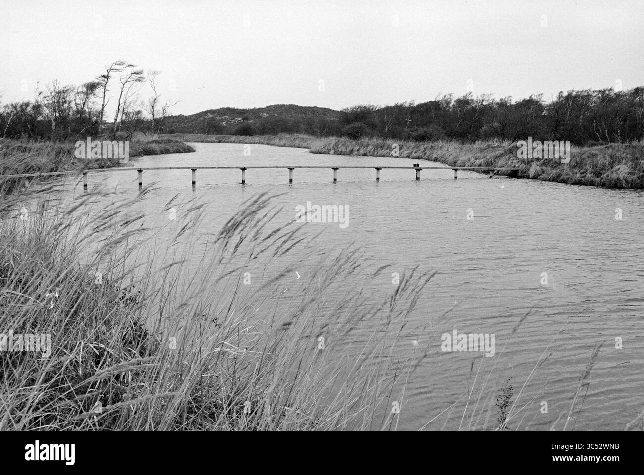 Excursion de la compagnie Haarlem Water à une zone d'extraction d'eau dans les dunes, 05-07-1979 Whizgle News, Dutch Desk, pays-Bas, 1950-2000 Une rivière tranquille serpente à travers un paysage flanqué de hautes herbes, tandis qu'un simple pont en bois vole gracieusement au-dessus de l'eau, reliant les rives. Des collines lointaines s'élèvent doucement en arrière-plan, laissant entendre un environnement vaste et serein. Banque D'Images