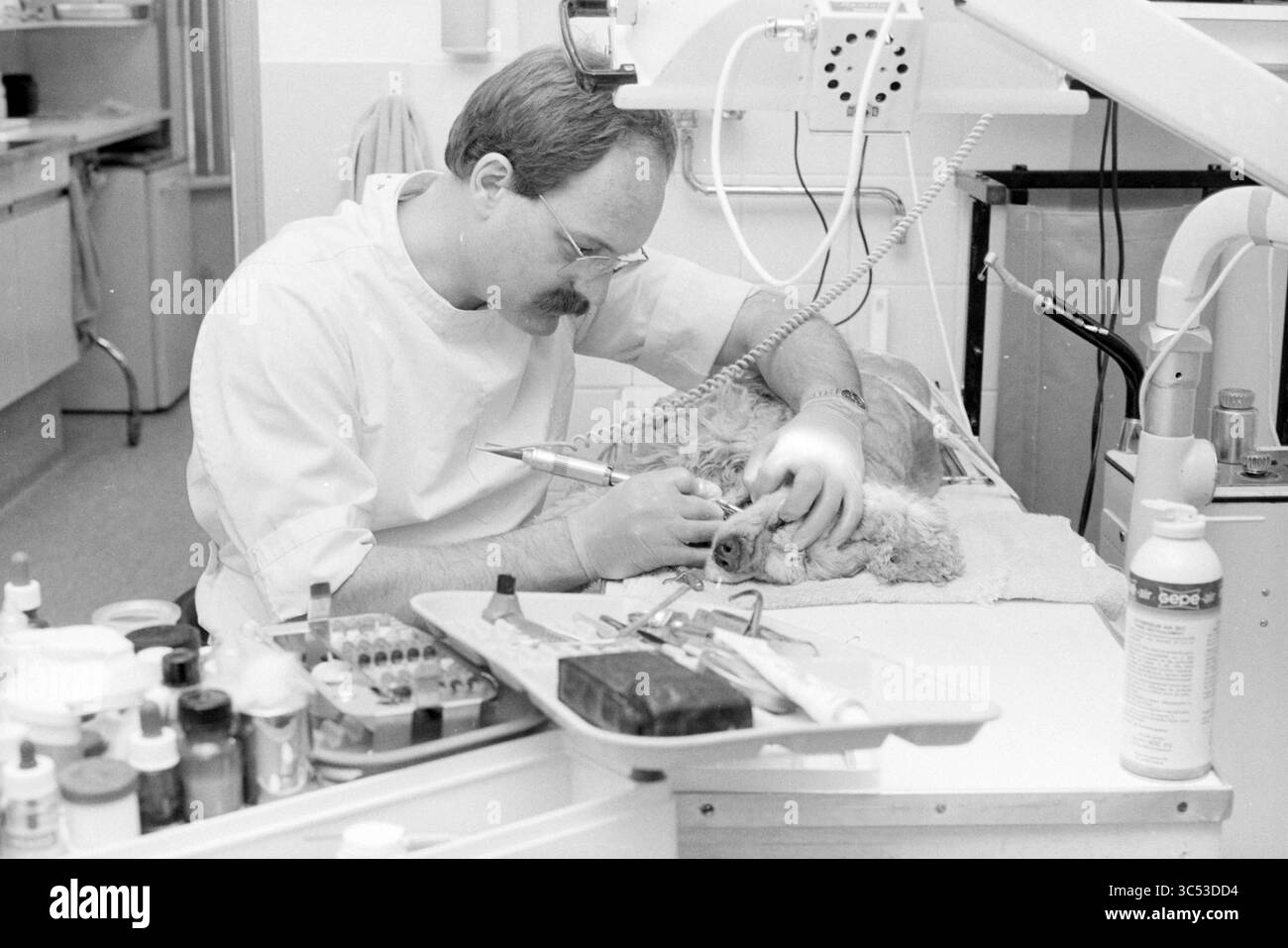 Vétérinaires inhibiteurs de Mr., animaux, 23-11-1988 Whizgle News, Dutch Desk, pays-Bas, 1950-2000 Un vétérinaire examine attentivement un petit animal en utilisant des outils spécialisés, entouré d'un éventail de fournitures et d'équipements médicaux dans un milieu clinique. Banque D'Images