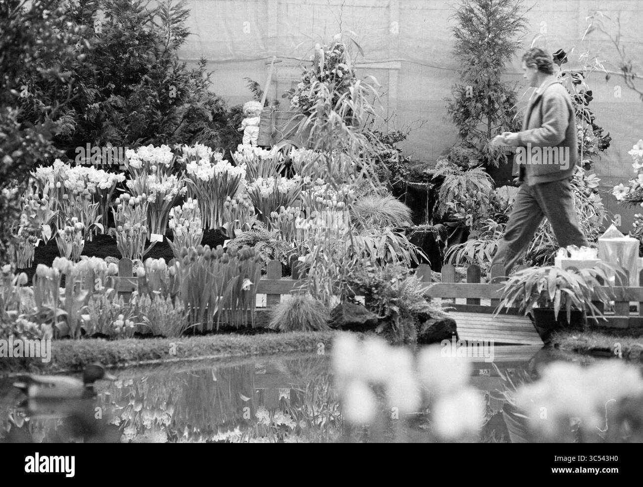 Hobaho, construction d'une exposition de fleurs, 21-02-1991 Whizgle News, Dutch Desk, pays-Bas, 1950-2000 Une personne se promène dans un jardin luxuriant rempli de fleurs vibrantes, entouré de verdure et d'un étang serein reflétant les fleurs colorées. L'atmosphère respire la tranquillité et un lien avec la nature. Banque D'Images