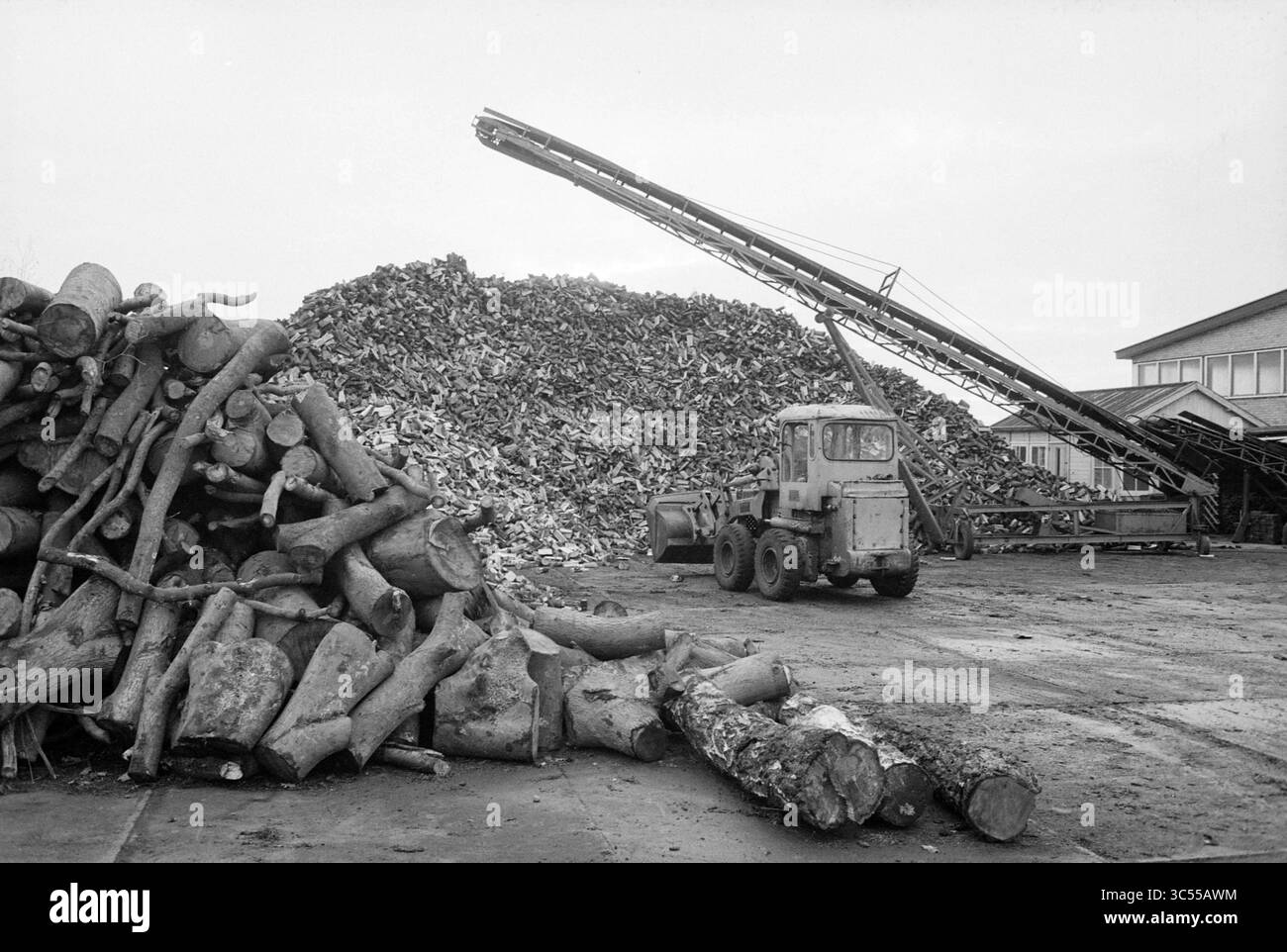 FA. Blocs de cheminée Santpoort en bois dur, bois, Santpoort, 21-11-1979 Whizgle News, Dutch Desk, pays-Bas, 1950-2000 Une grande pile de bûches coupées se trouve à côté d'un énorme tas de bois traité, avec des machines positionnées pour transporter le matériau. La scène transmet un cadre industriel axé sur le traitement du bois, mettant en évidence l'échelle des matières premières au premier plan. Banque D'Images