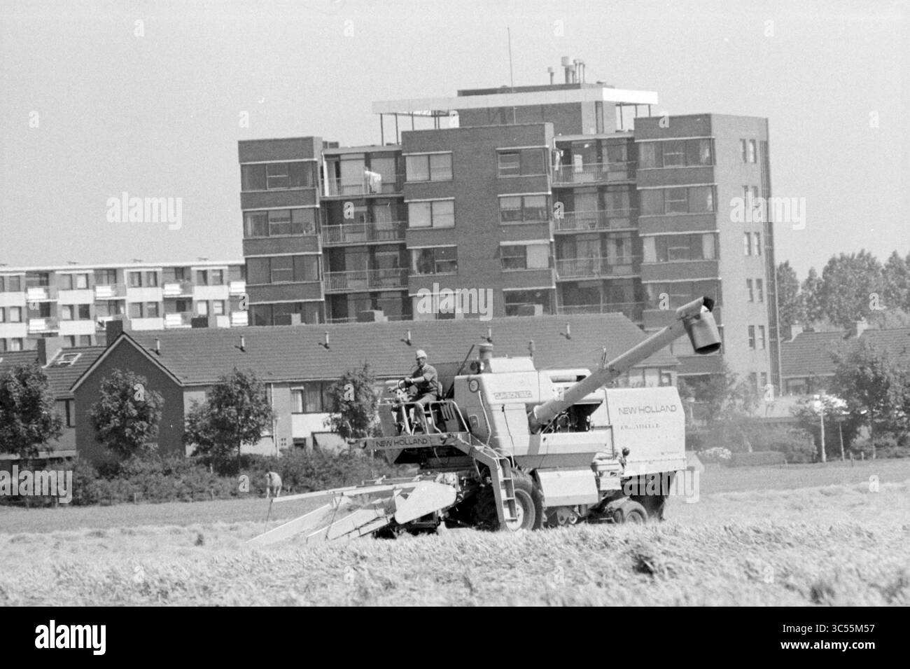 Agriculture in Haarlemmermeer, Agriculture, Haarlemmermeer, 24-07-1980 Whizgle News, Dutch Desk, pays-Bas, 1950-2000 Une moissonneuse-batteuse opère dans un champ, avec un immeuble d'appartements moderne en arrière-plan, mettant en valeur le contraste entre l'activité agricole et la vie urbaine. Banque D'Images Agriculture in Haarlemmermeer, Agriculture, Haarlemmermeer, 24-07-1980 Whizgle News, Dutch Desk, pays-Bas, 1950-2000 Une moissonneuse-batteuse opère dans un champ, avec un immeuble d'appartements moderne en arrière-plan, mettant en valeur le contraste entre l'activité agricole et la vie urbaine. Banque D'Images