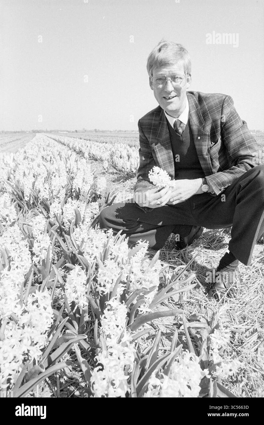 Piet Goemans aux champs de bulbes, lisse, bulbes de fleurs, lisse, 09-04-1990 Whizgle News, Dutch Desk, pays-Bas, 1950-2000 Un homme en costume s'agenouille parmi des rangées de fleurs en fleurs, tenant une fleur à la main, avec un paysage lumineux qui s'étend en arrière-plan. Banque D'Images