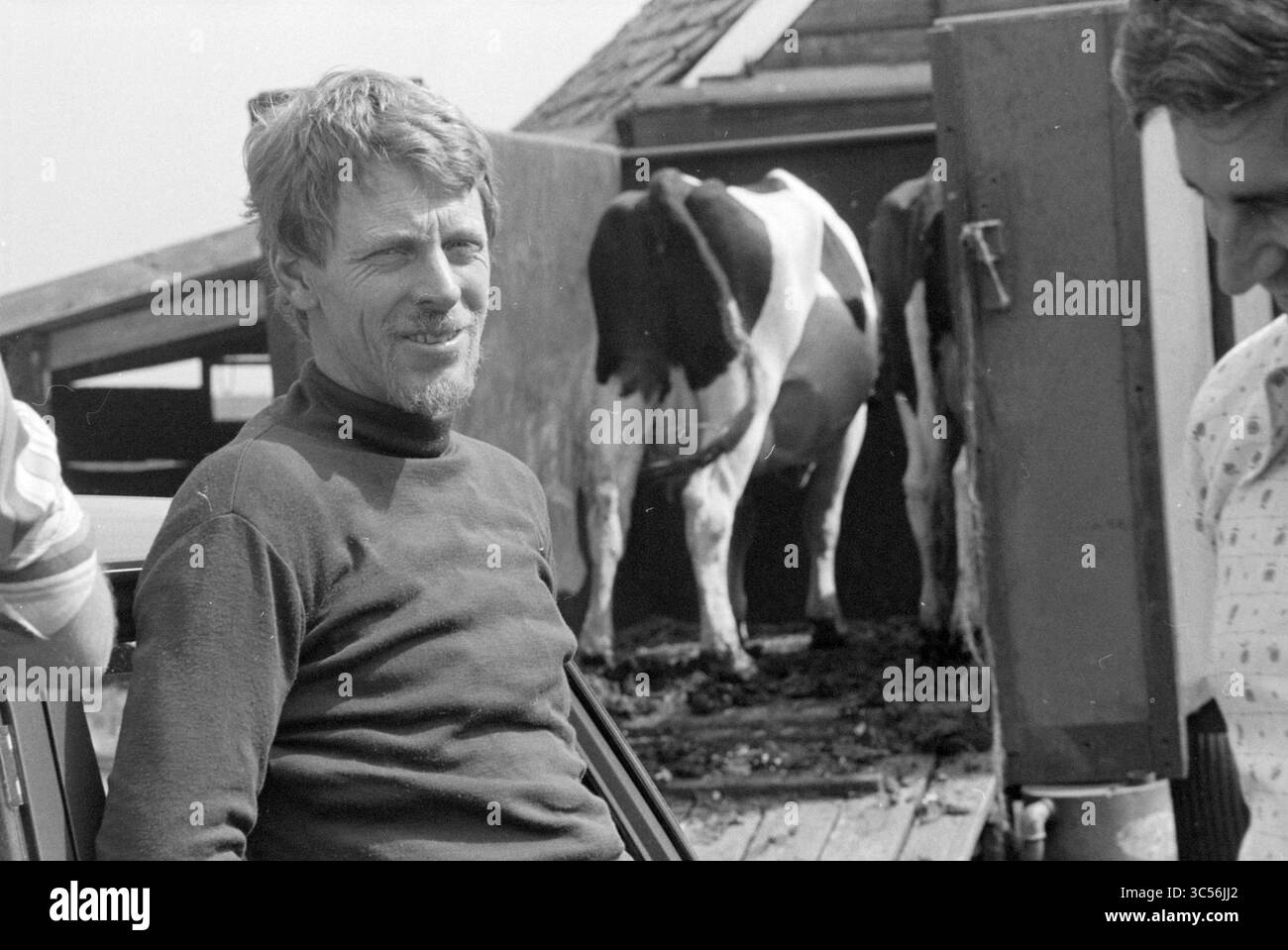 Insémination artificielle chez la vache, élevage, 05-07-1979 Whizgle News, Dutch Desk, pays-Bas, 1950-2000 Un homme avec une expression réfléchie se tient près d'une grange, où l'on peut voir des vaches en arrière-plan. Il est habillé dans un top sombre, et son comportement détendu suggère un lien avec le milieu rural. Banque D'Images