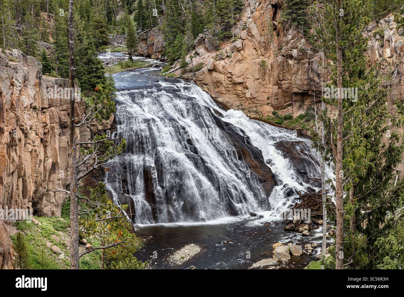 Gibbon Falls, parc national de Yellowstone Banque D'Images