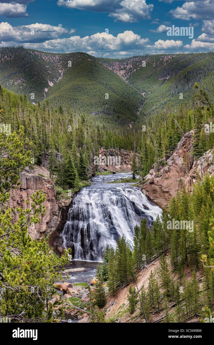 Gibbon Falls, parc national de Yellowstone Banque D'Images