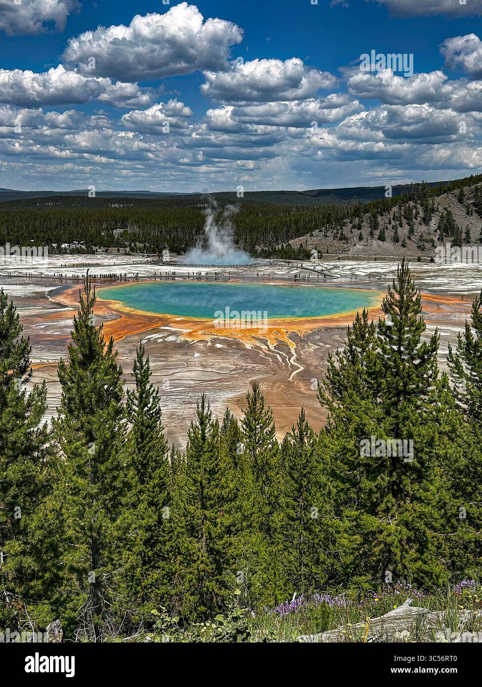 Grand Prismatic Spring, le Parc National de Yellowstone Banque D'Images
