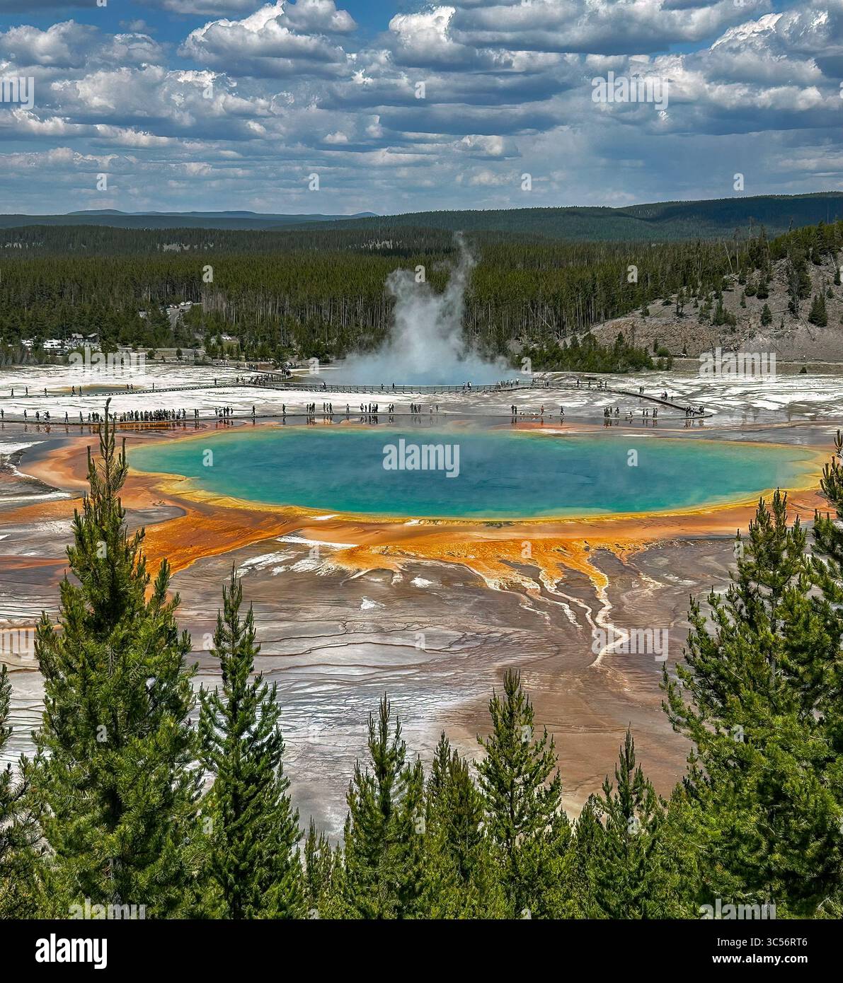 Grand Prismatic Spring, le Parc National de Yellowstone Banque D'Images