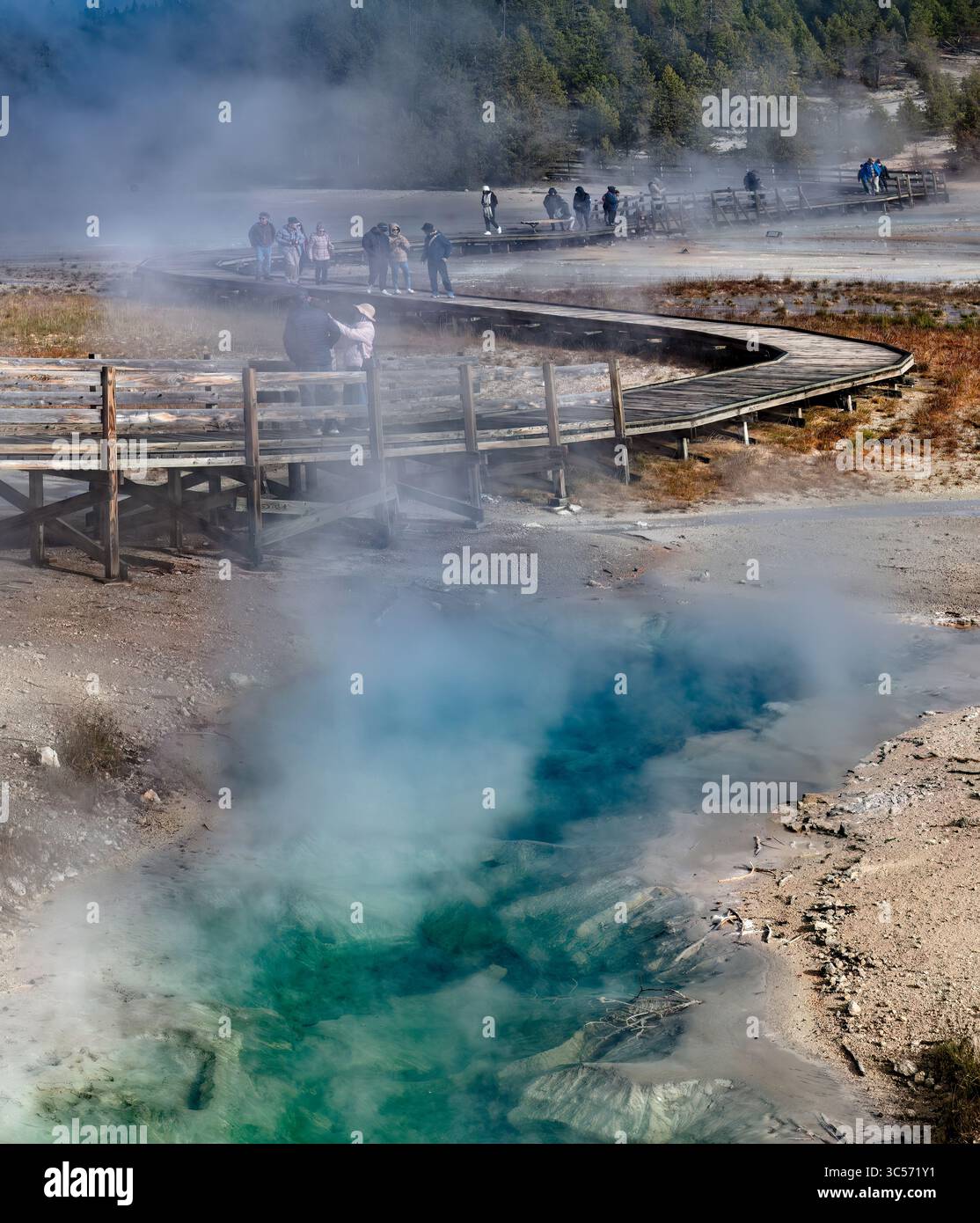 Activité géothermique, bassin de porcelaine, partie du Norris Geyser Basin dans le parc national de Yellowstone Banque D'Images