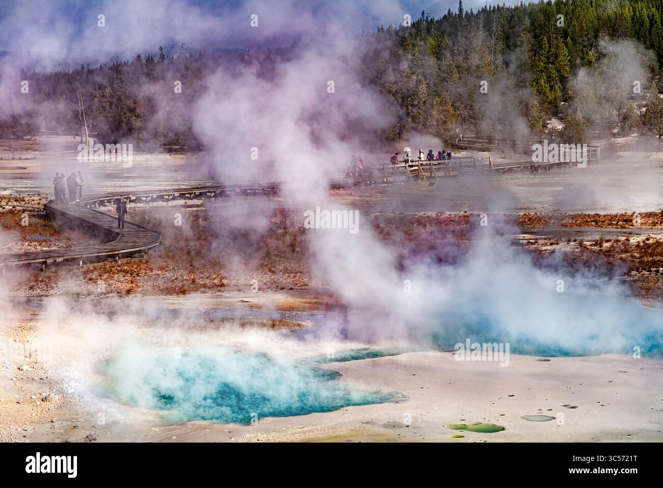 Activité géothermique, bassin de porcelaine, partie du Norris Geyser Basin dans le parc national de Yellowstone Banque D'Images