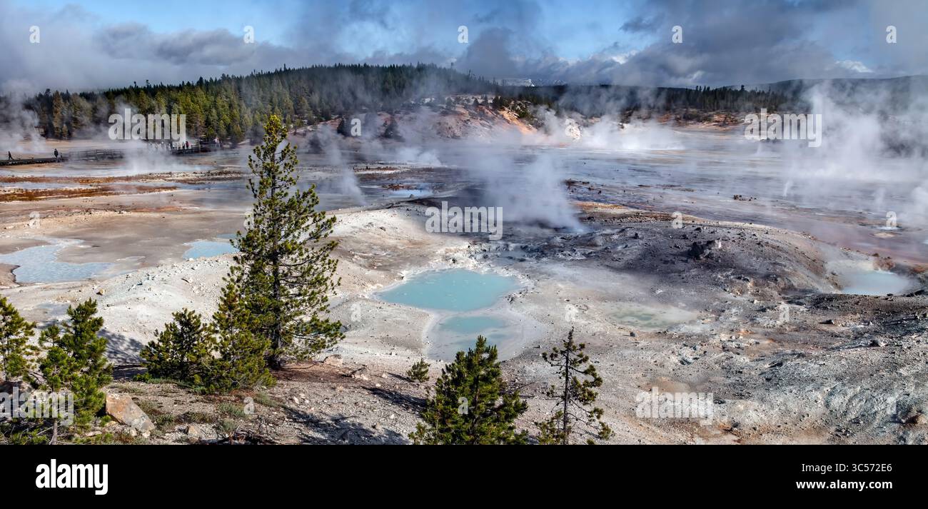 Porcelaine Basin, Norris Geyser Basin, parc national de Yellowstone Banque D'Images