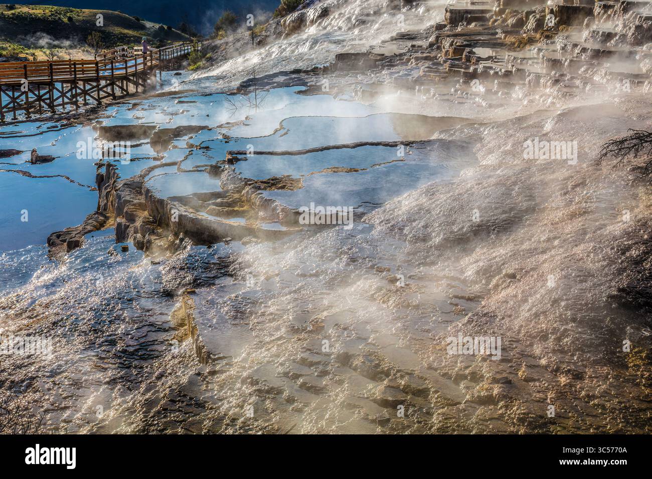 Terrasses de travertin de Mammoth Hot Springs dans le parc national de Yellowstone, Wyoming Banque D'Images