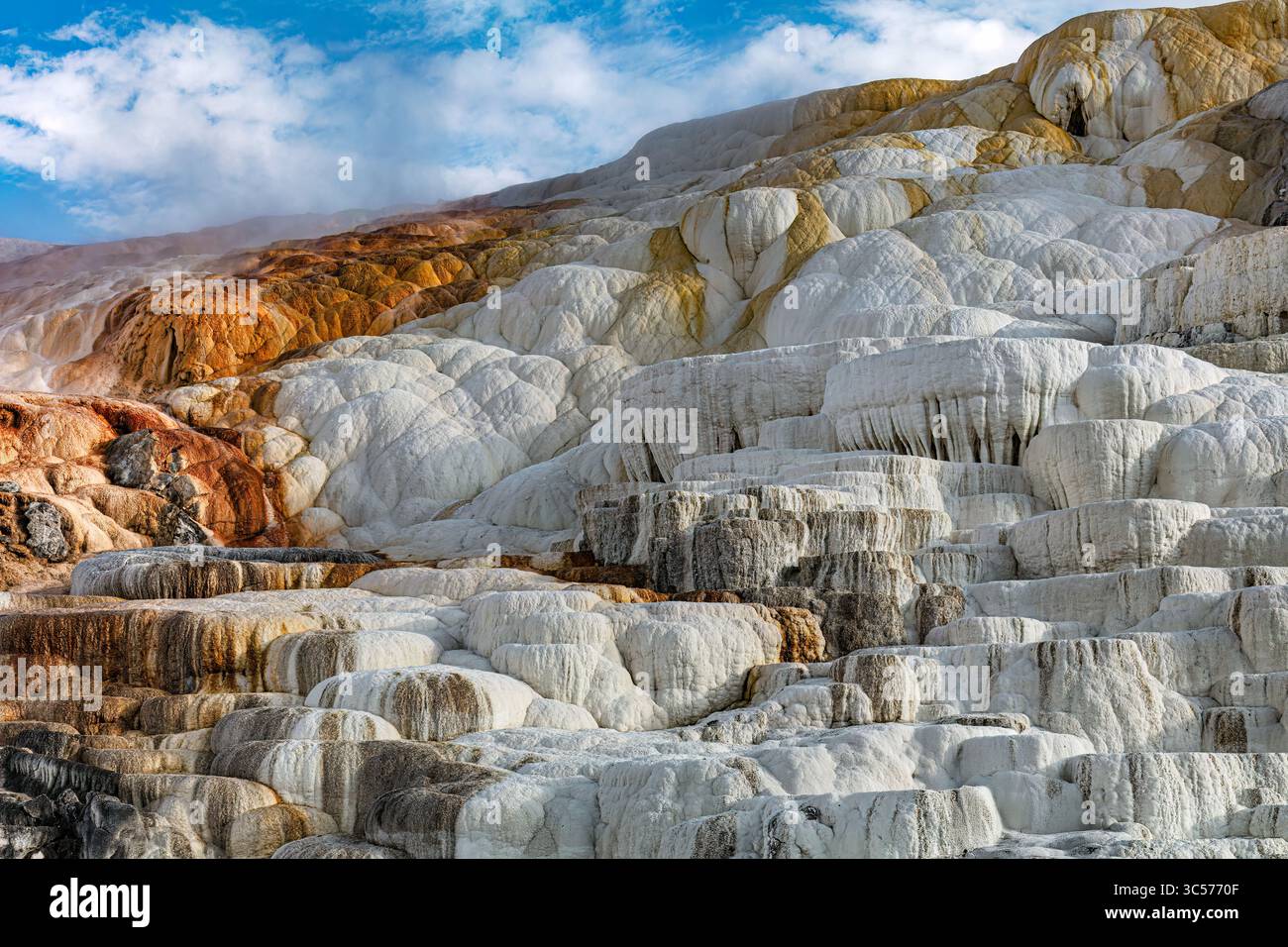 Terrasses de travertin de Mammoth Hot Springs dans le parc national de Yellowstone, Wyoming Banque D'Images