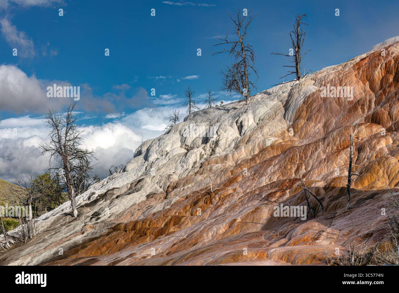 Terrasses de travertin de Mammoth Hot Springs dans le parc national de Yellowstone, Wyoming Banque D'Images