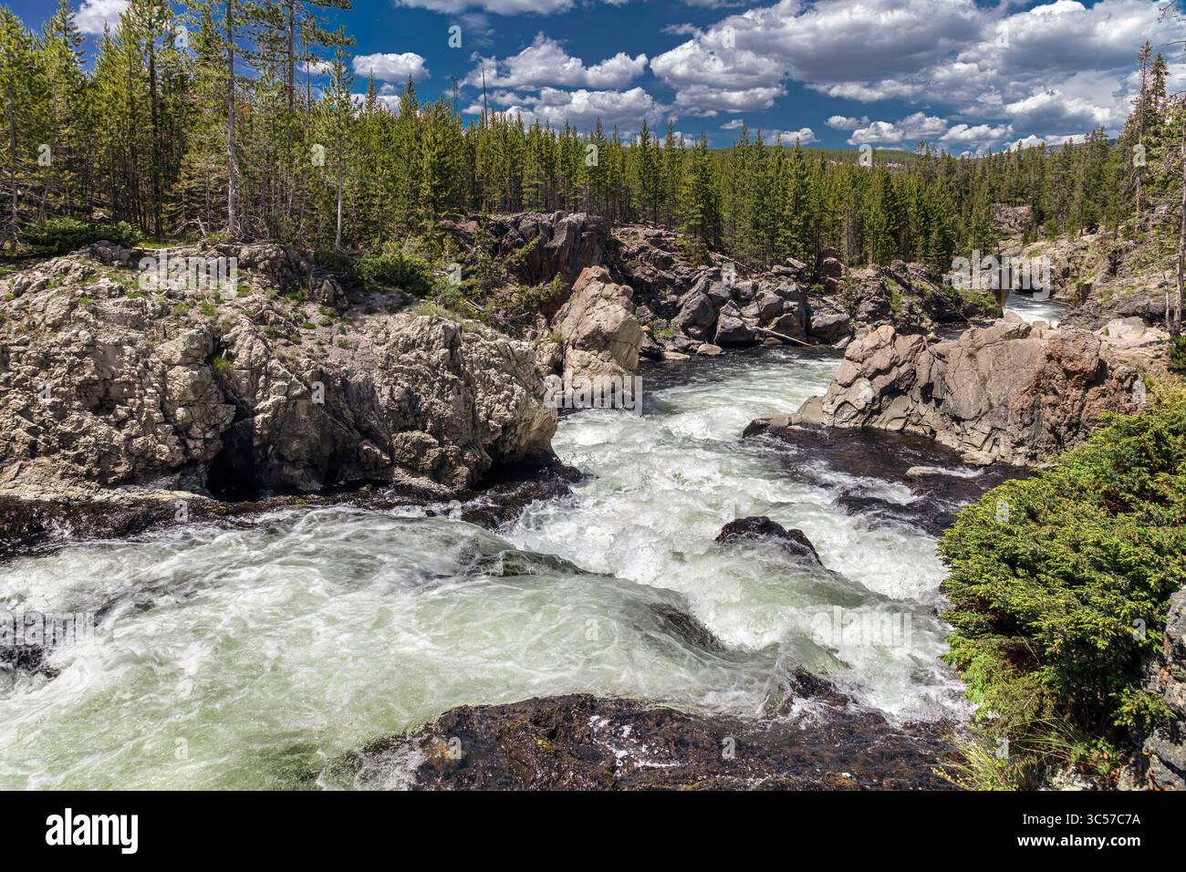Ce tronçon accidenté de la rivière Firehole dans le parc national de Yellowstone présente de puissants rapides d'eau vive traversant d'anciennes roches volcaniques. Banque D'Images