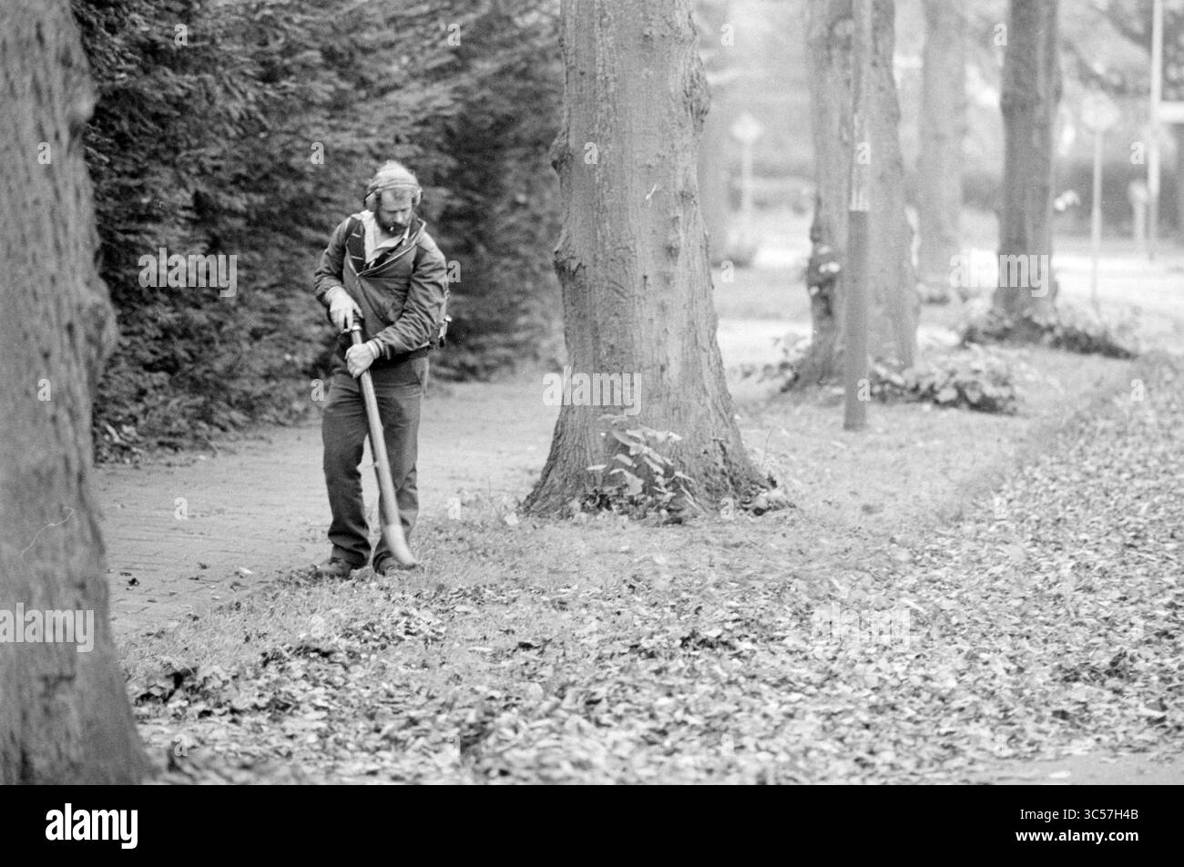 Blowing Away Leaves Bilderdijklaan, automne, Aerdenhout, Bilderdijklaan, 05-11-1987 Whizgle News, Dutch Desk, pays-Bas, 1950-2000 Un homme vêtu d'une tenue décontractée utilise un outil pour râteler les feuilles tombées le long d'un chemin bordé d'arbres, entouré d'une atmosphère sereine de nature et de tranquillité. Banque D'Images Blowing Away Leaves Bilderdijklaan, automne, Aerdenhout, Bilderdijklaan, 05-11-1987 Whizgle News, Dutch Desk, pays-Bas, 1950-2000 Un homme vêtu d'une tenue décontractée utilise un outil pour râteler les feuilles tombées le long d'un chemin bordé d'arbres, entouré d'une atmosphère sereine de nature et de tranquillité. Banque D'Images