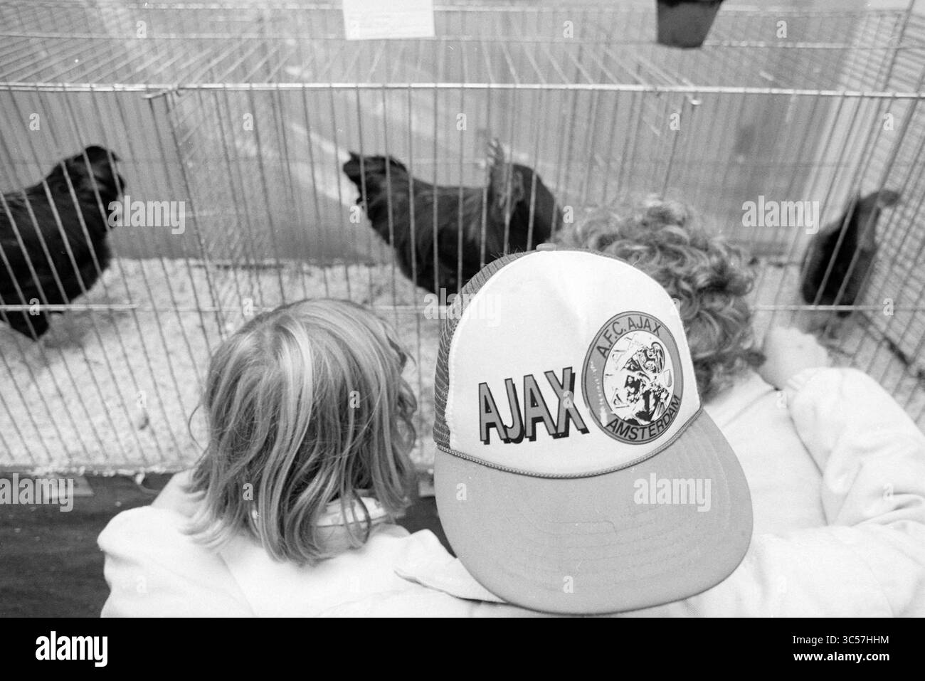 Volaille, inspection des petits animaux, Nieuw-Vennep, Nieuw-Vennep, 16-10-1991 Whizgle News, Dutch Desk, pays-Bas, 1950-2000 deux enfants observent des poulets dans une cage, l'un portant une casquette avec 'AJAX' écrit bien en vue dessus, alors qu'ils se penchent avec curiosité. Banque D'Images