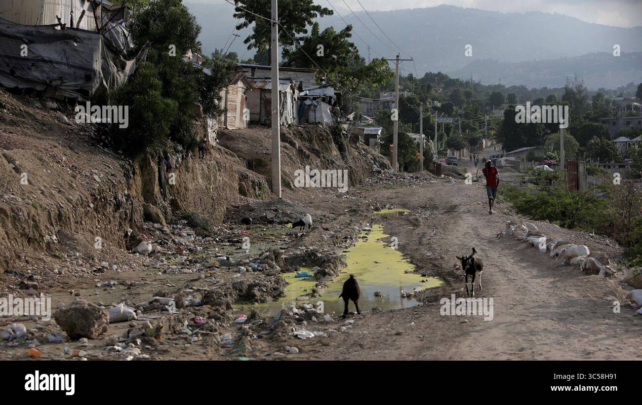 16 novembre 2019, Port-au-Prince, HAI : les chèvres errent le long d'un chemin de terre de fortune qui passe par le camp de Teren Toto à la frontière des villes de Tabarre et Delmas en Haïti. (Crédit image : © TNS via ZUMA Wire) Banque D'Images 16 novembre 2019, Port-au-Prince, HAI : les chèvres errent le long d'un chemin de terre de fortune qui passe par le camp de Teren Toto à la frontière des villes de Tabarre et Delmas en Haïti. (Crédit image : © TNS via ZUMA Wire) Banque D'Images