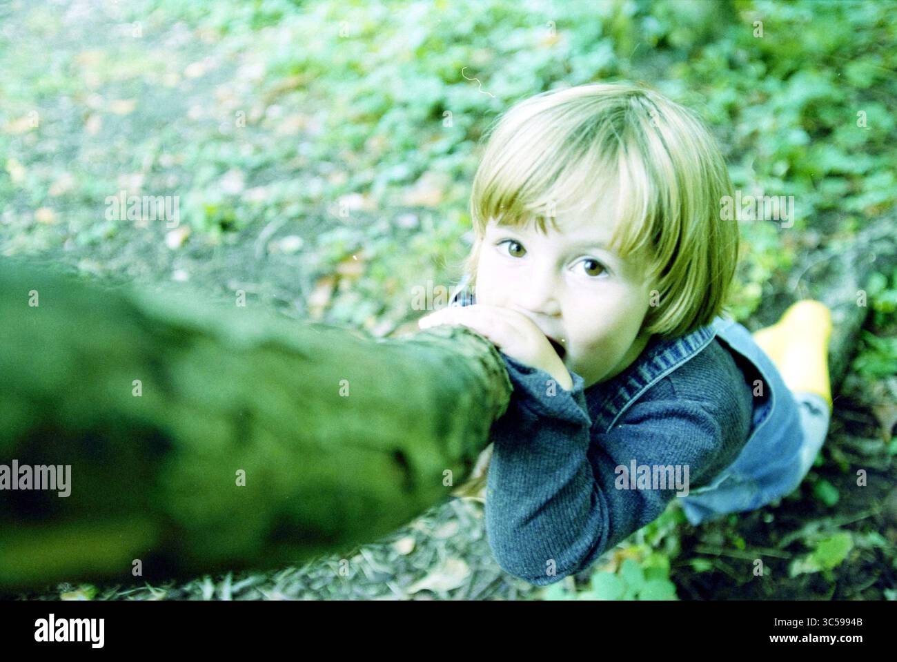 Herfst, Veerle & Stijn, B'daal, Bloemendaal, 21-09-1999 Whizgle News, Dutch Desk, pays-Bas, 1950-2000 Un enfant curieux s'accroche à une branche d'arbre tout en levant les yeux avec de larges yeux curieux, vêtu d'un pull confortable et d'un denim. La verdure environnante ajoute une touche de nature à ce moment fantaisiste. Banque D'Images