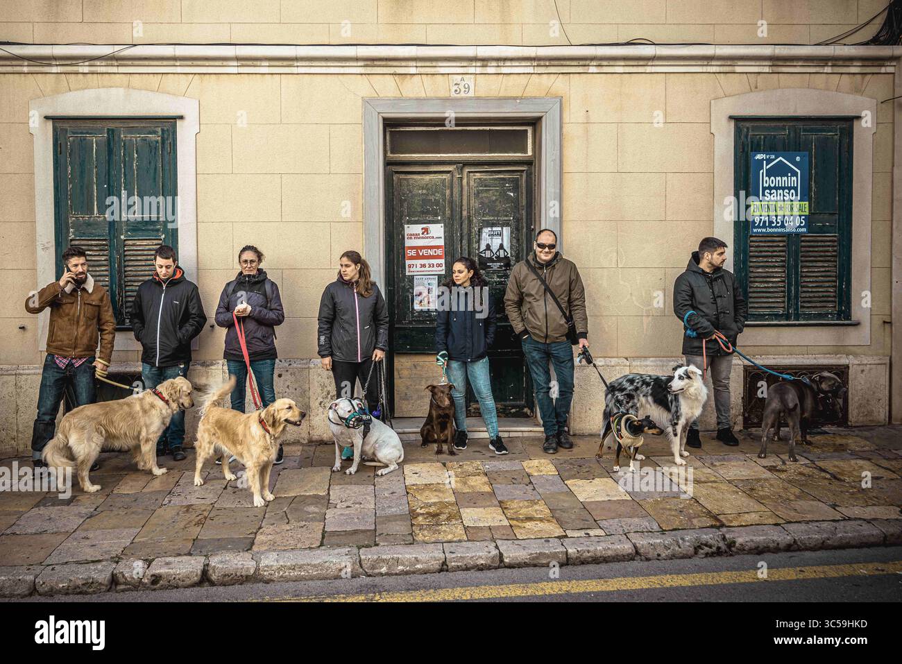 17 janvier 2020, Mahon, Îles Baléares, Espagne : des chiens de toutes formes et tailles s'alignent avec leurs propriétaires en attendant une bénédiction à la Saint Antoine, saint patron des animaux, et la fête nationale de Minorque (crédit image : © Matthias OesterleZUMA Wire) Banque D'Images