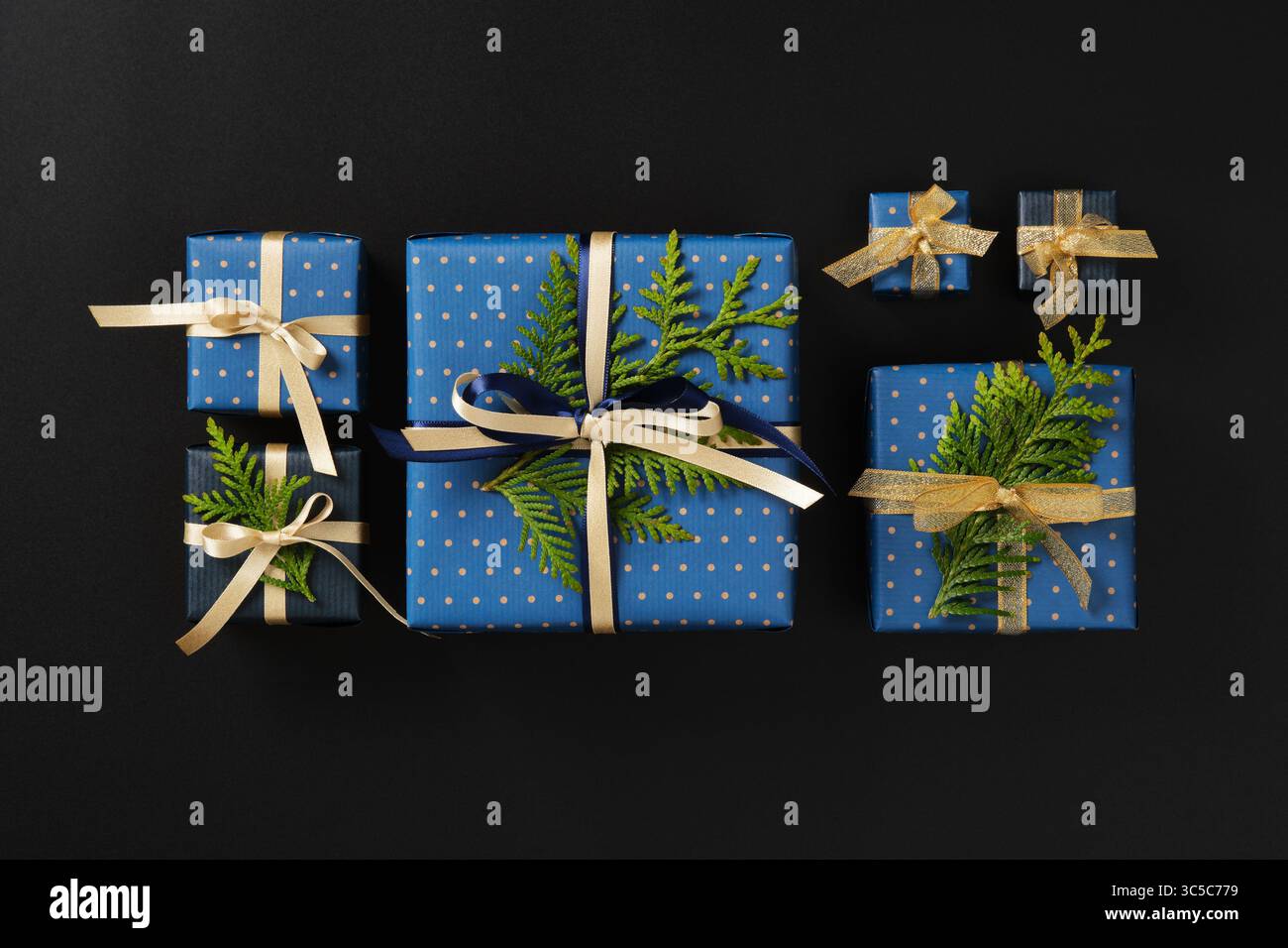 Les boîtes-cadeaux soigneusement arrangées enveloppées de pois bleus et de papier marine sont décorées avec des rubans dorés brillants et crème, accentués par le vert frais thuja spr Banque D'Images
