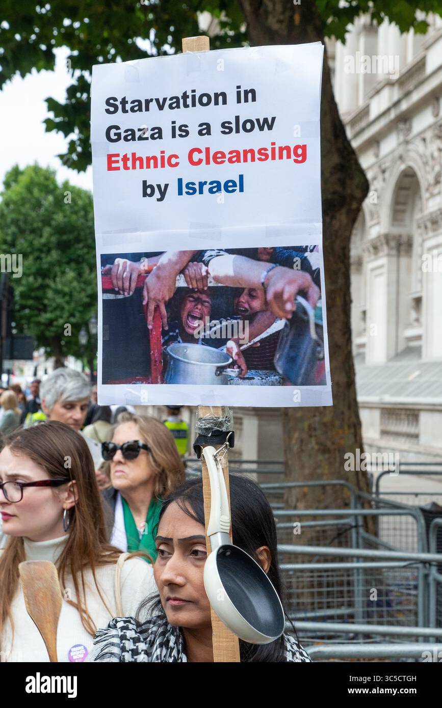 Cessez de protester contre la faim à Gaza, appelant à l'envoi d'aide alimentaire aux Palestiniens de Gaza. Nettoyage ethnique par Israël pancarte Banque D'Images