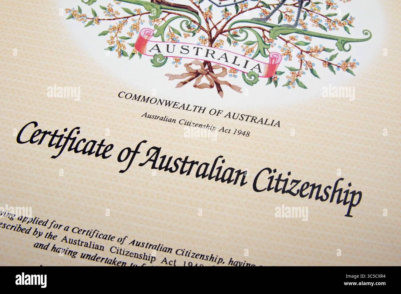 certificat de citoyenneté australien vue rapprochée Banque D'Images