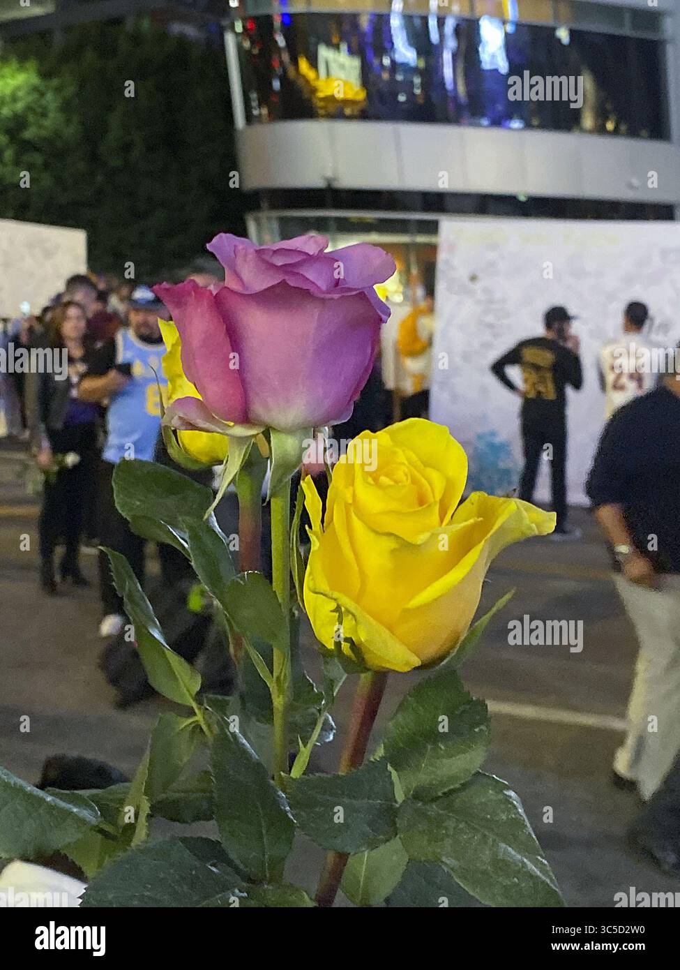 31 janvier 2020, Los Angeles, Californie, États-Unis : des fleurs sont placées à l'extérieur du Staples Center avant le match NBA entre les Lakers de Los Angeles et les Trailblazers de Portland le vendredi 31 janvier 2020 à Los Angeles, Californie. C'est le premier match à domicile depuis la mort de Kobe Bryant dans un accident d'hélicoptère avec sa fille Gigi et sept autres invités. JAVIER ROJAS/PI (crédit image : © Prensa Internacional via ZUMA Wire) Banque D'Images