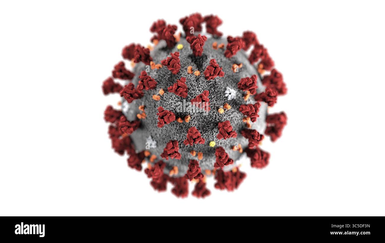 3 février 2020, Atlanta, Géorgie, États-Unis : illustration créée aux Centers for Disease Control and Prevention montrant la morphologie ultrastructurale présentée par le nouveau virus Coronavirus 2019-nCoV qui a provoqué une épidémie de maladie respiratoire détectée pour la première fois à Wuhan, Chine en 2019. Notez les pointes qui ornent la surface externe du virus, qui donnent l'aspect d'une couronne entourant le virion, lorsqu'on regarde au microscope électronique. (Crédit image : © CDC via ZUMA Wire) Banque D'Images