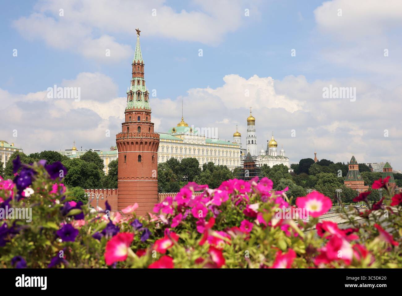 Vue sur le Grand Palais du Kremlin à travers des fleurs de pétunia, Moscou en été Banque D'Images