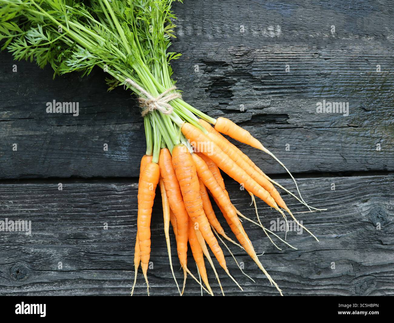 Carottes biologiques mûres et fraîches sur une vieille table en bois. Récolte de bouquet de jeunes carottes sur un fond en bois. Banque D'Images