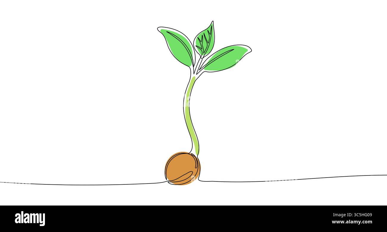 Plante germanique noire dans un style artistique à une ligne. Dessin de germe avec trait modifiable sur blanc Illustration de Vecteur