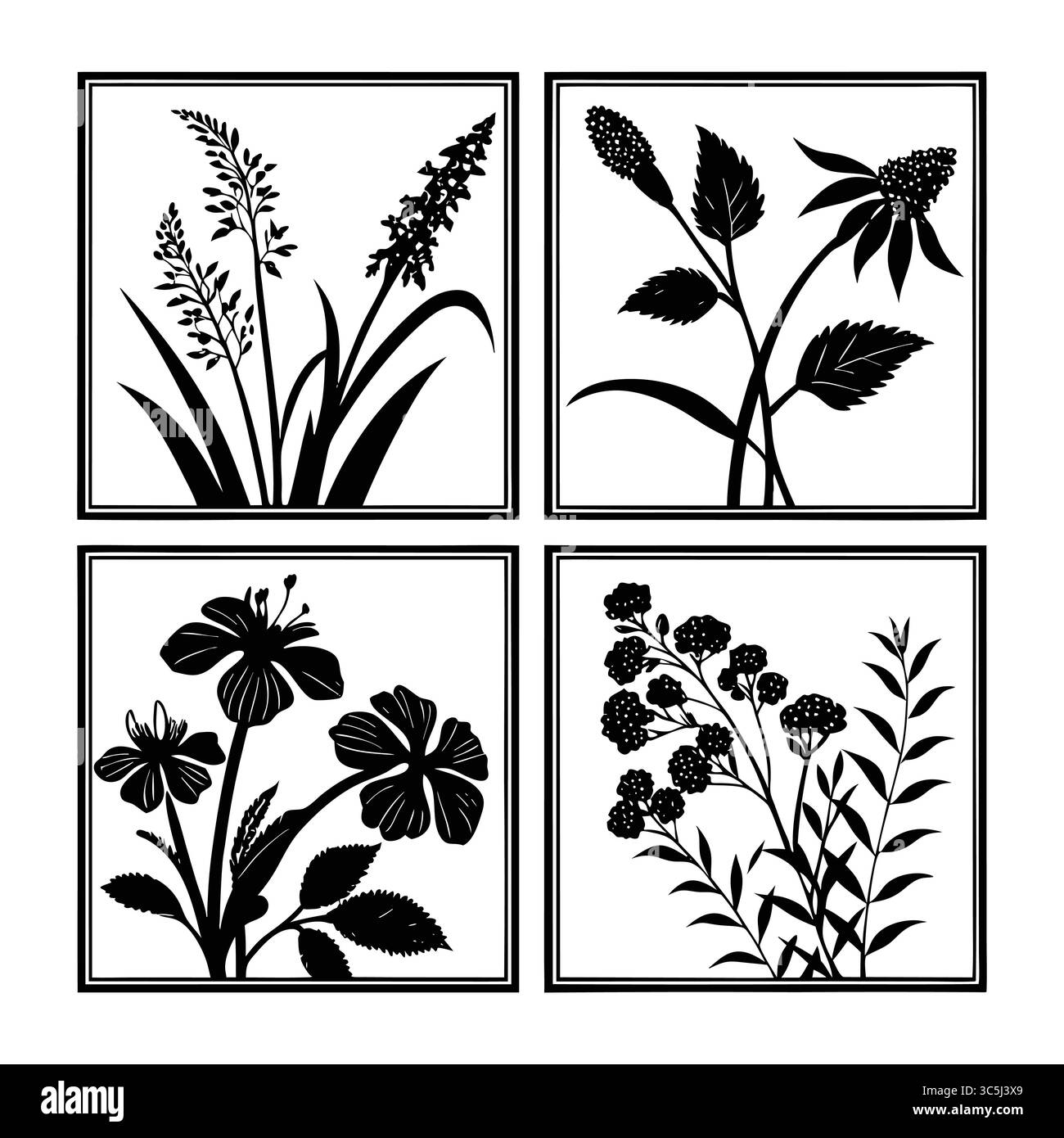 Collection de silhouettes botaniques mettant en vedette diverses plantes et motifs floraux Illustration de Vecteur