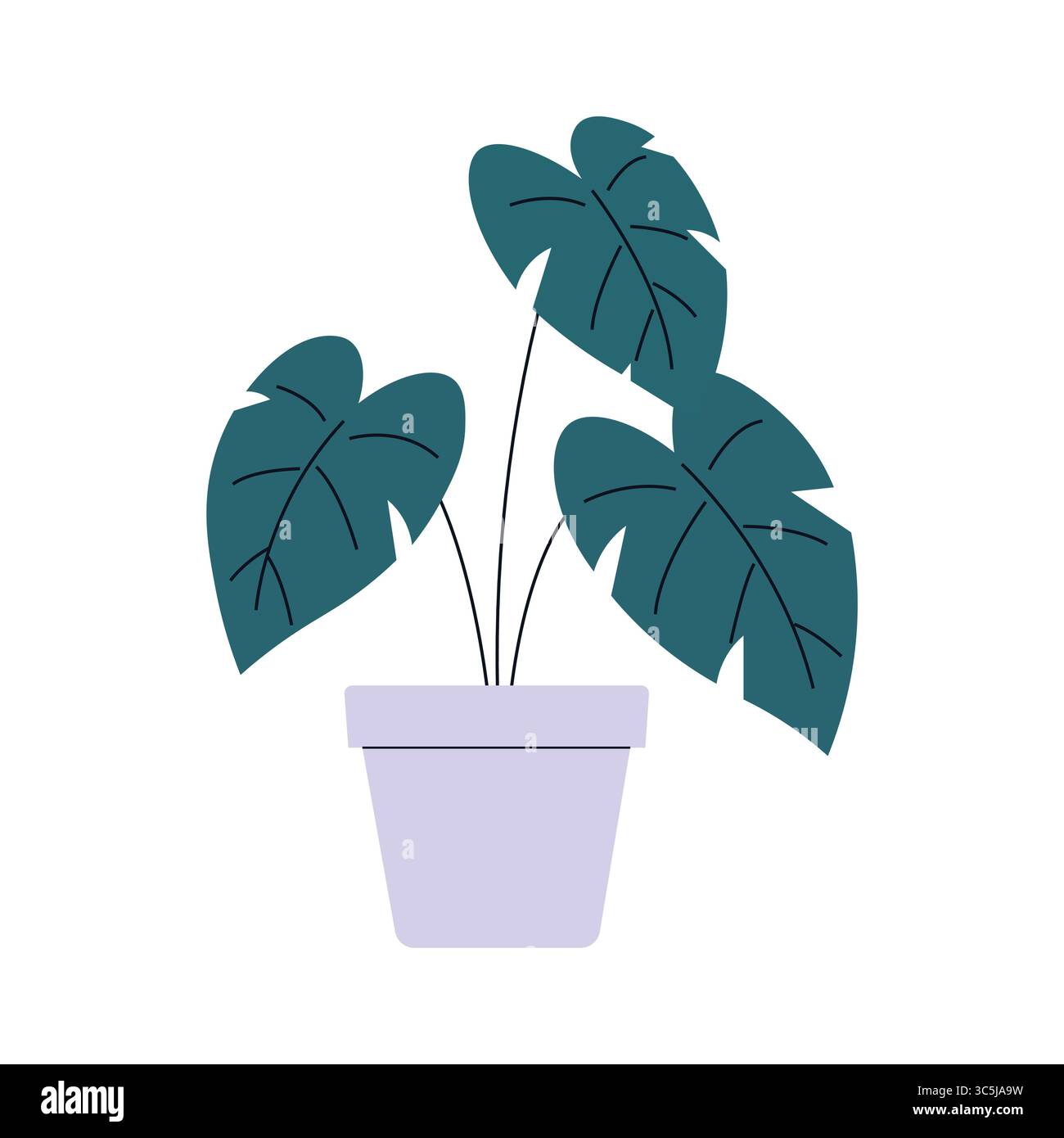 Monstera deliciosa plante d'intérieur dans une illustration vectorielle de pot. Illustration de Vecteur
